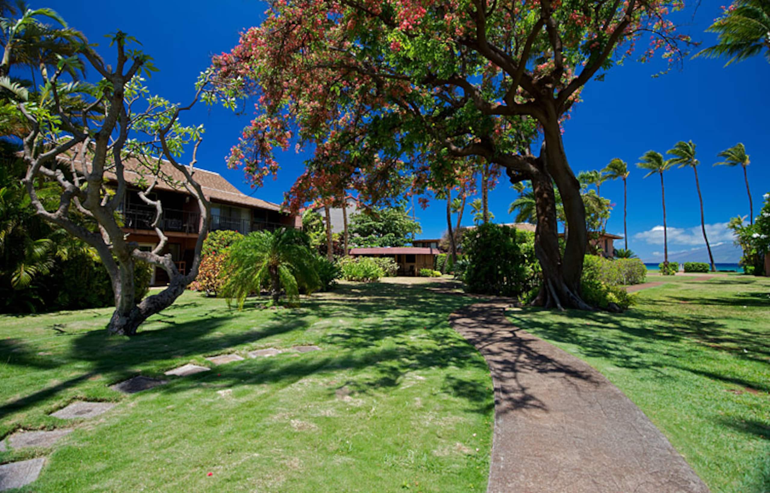 Condo in Lahaina · ★4.52 · 2 bedrooms · 4 beds · 1.5 shared baths - Image 34
