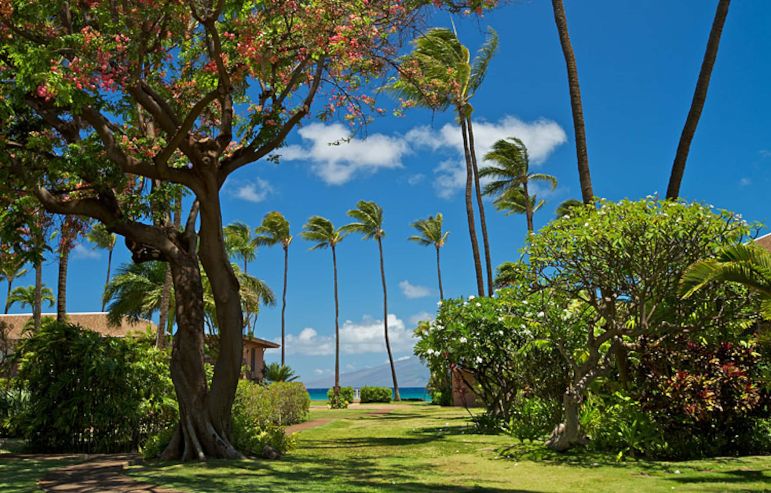 Condo in Lahaina · ★4.52 · 2 bedrooms · 4 beds · 1.5 shared baths - Image 29