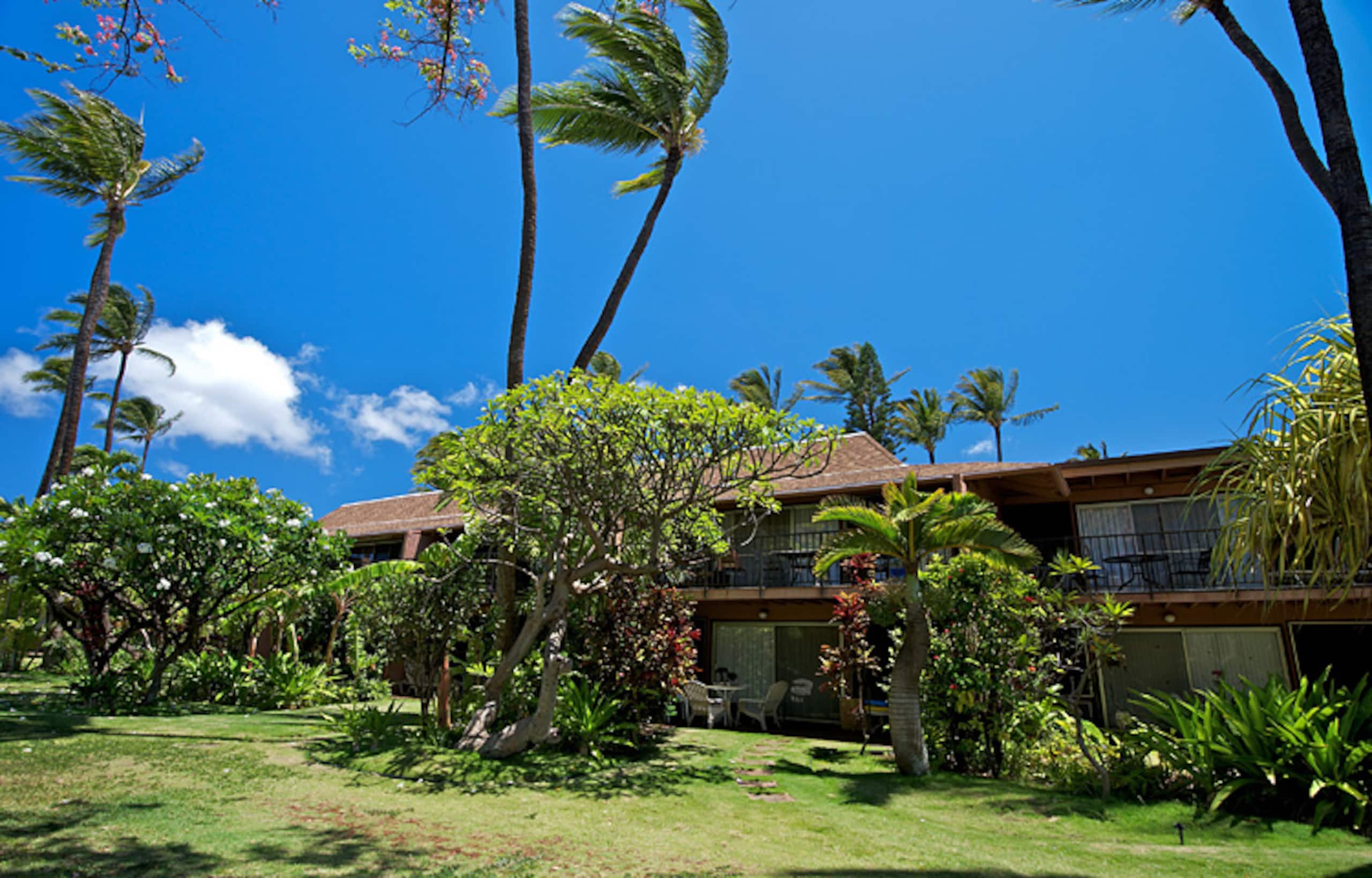 Condo in Lahaina · ★4.52 · 2 bedrooms · 4 beds · 1.5 shared baths - Image 35
