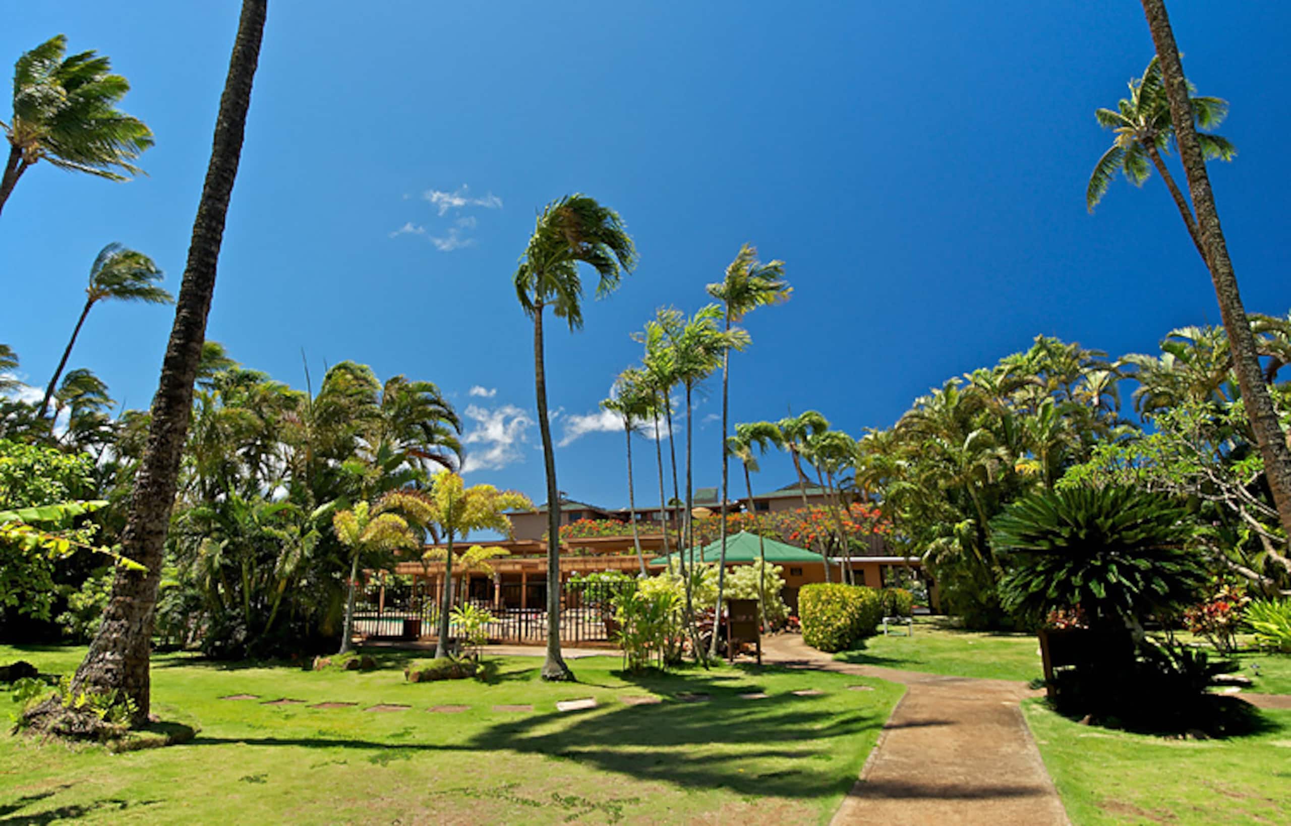 Condo in Lahaina · ★4.52 · 2 bedrooms · 4 beds · 1.5 shared baths - Image 33