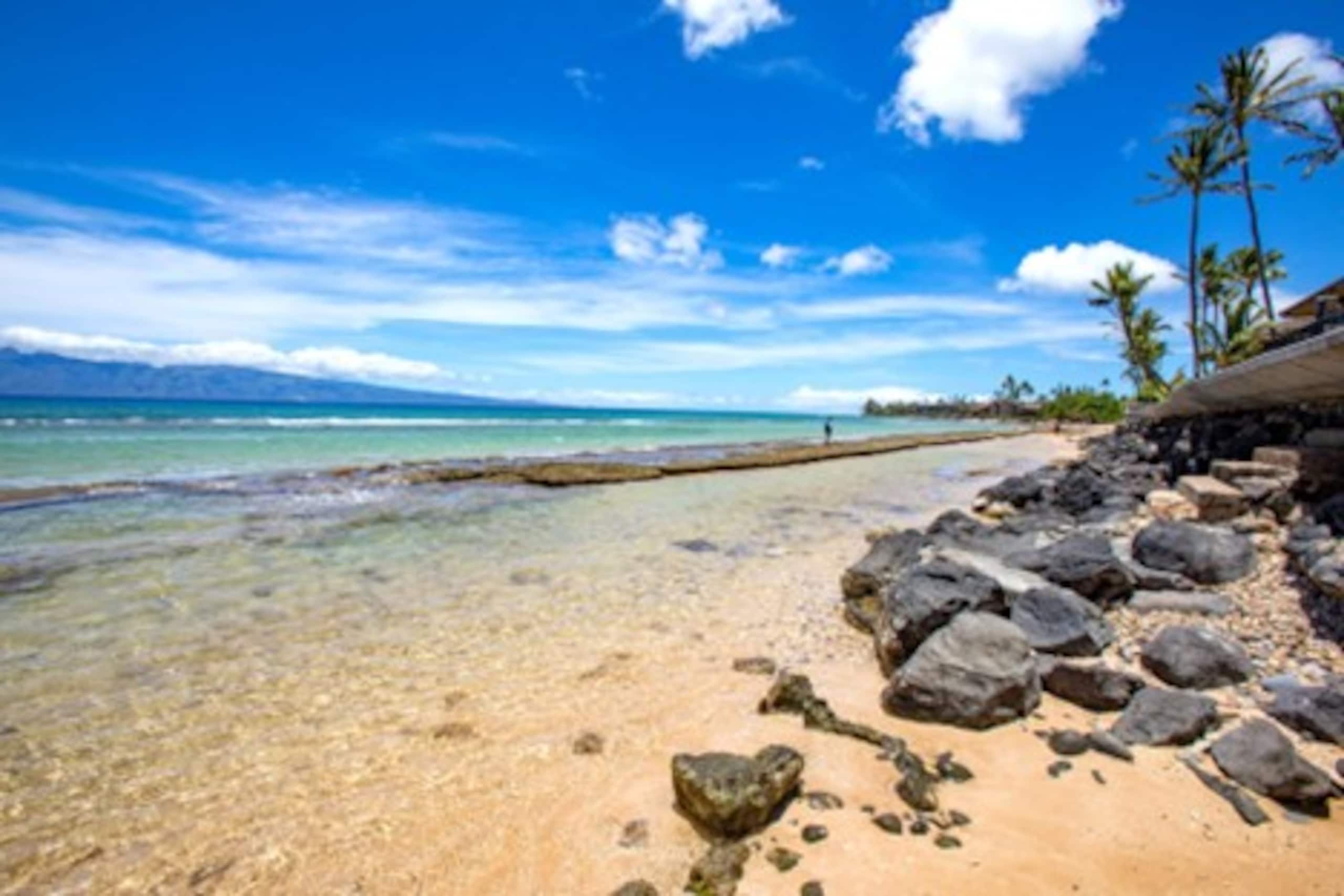Condo in Lahaina · ★4.52 · 2 bedrooms · 4 beds · 1.5 shared baths - Image 40