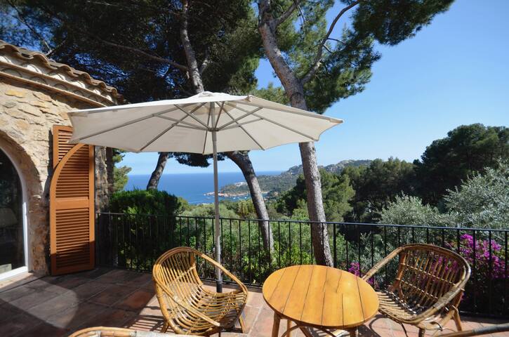 Holiday rental villa with swimming pool in Begur, gallery image 5