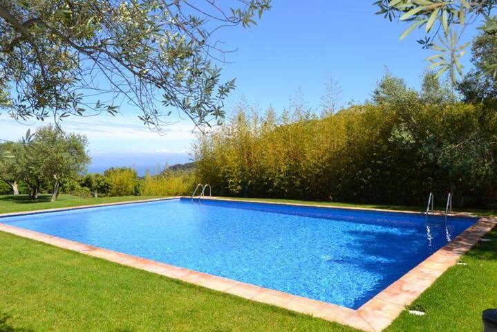 Holiday rental villa with swimming pool in Begur, gallery image 3