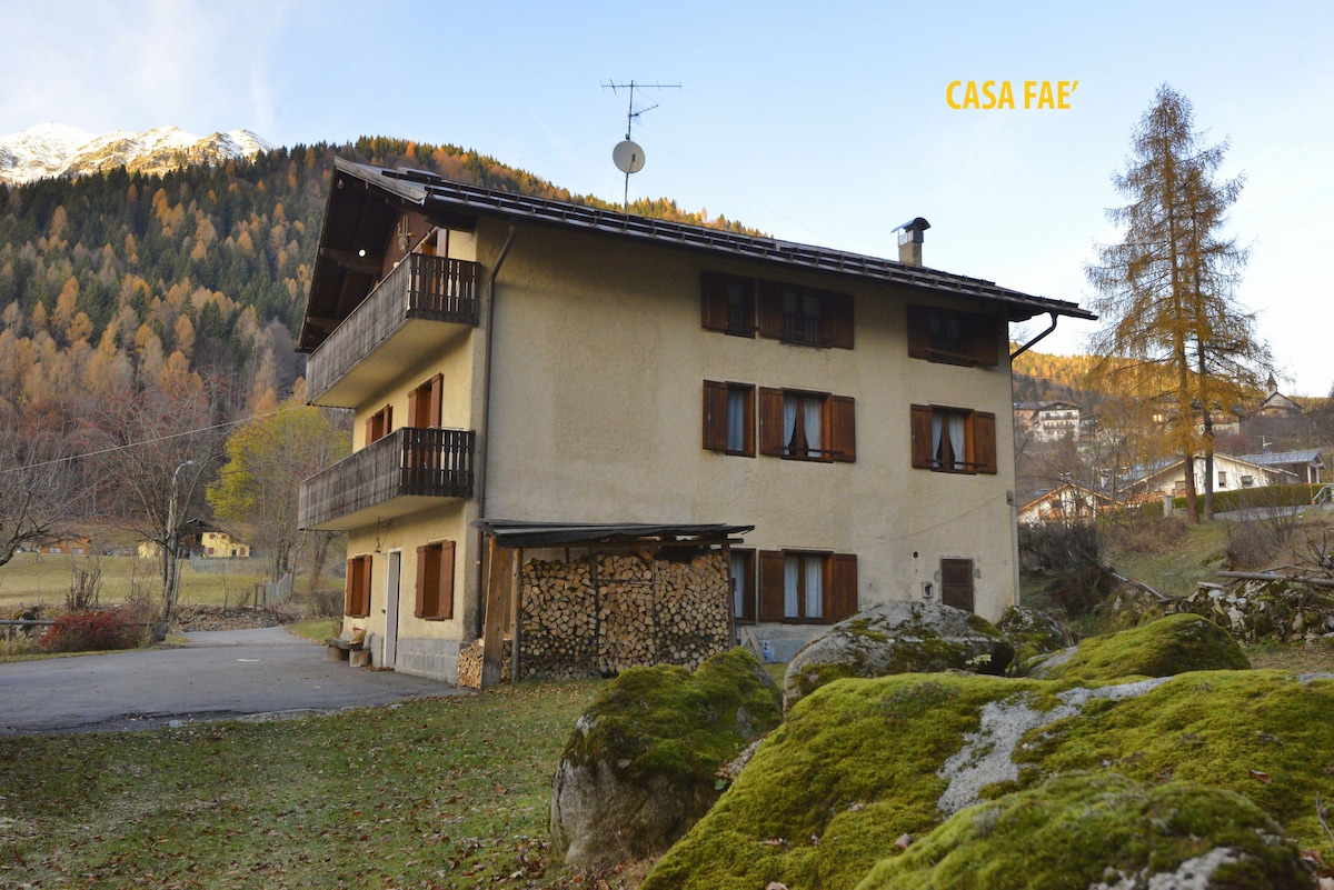 A three-story building is situated amidst a natural landscape, showcasing a rustic exterior with brown shutters. Stacked firewood is neatly arranged beside the structure. Lush green moss covers the ground near the building, with mountain peaks visible in the background.