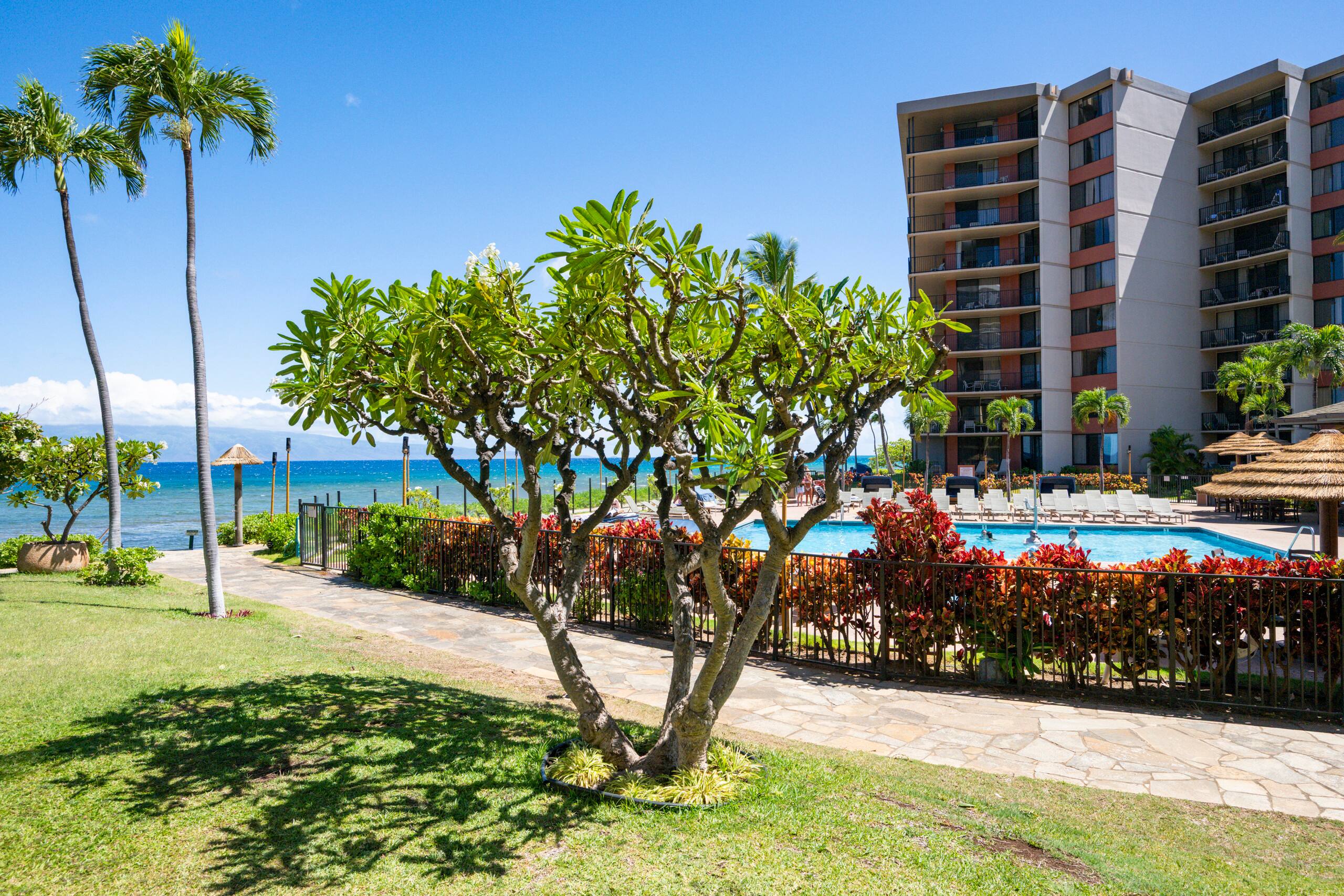 Condo in Lahaina · ★4.85 · 2 bedrooms · 3 beds · 2 baths - Image 35