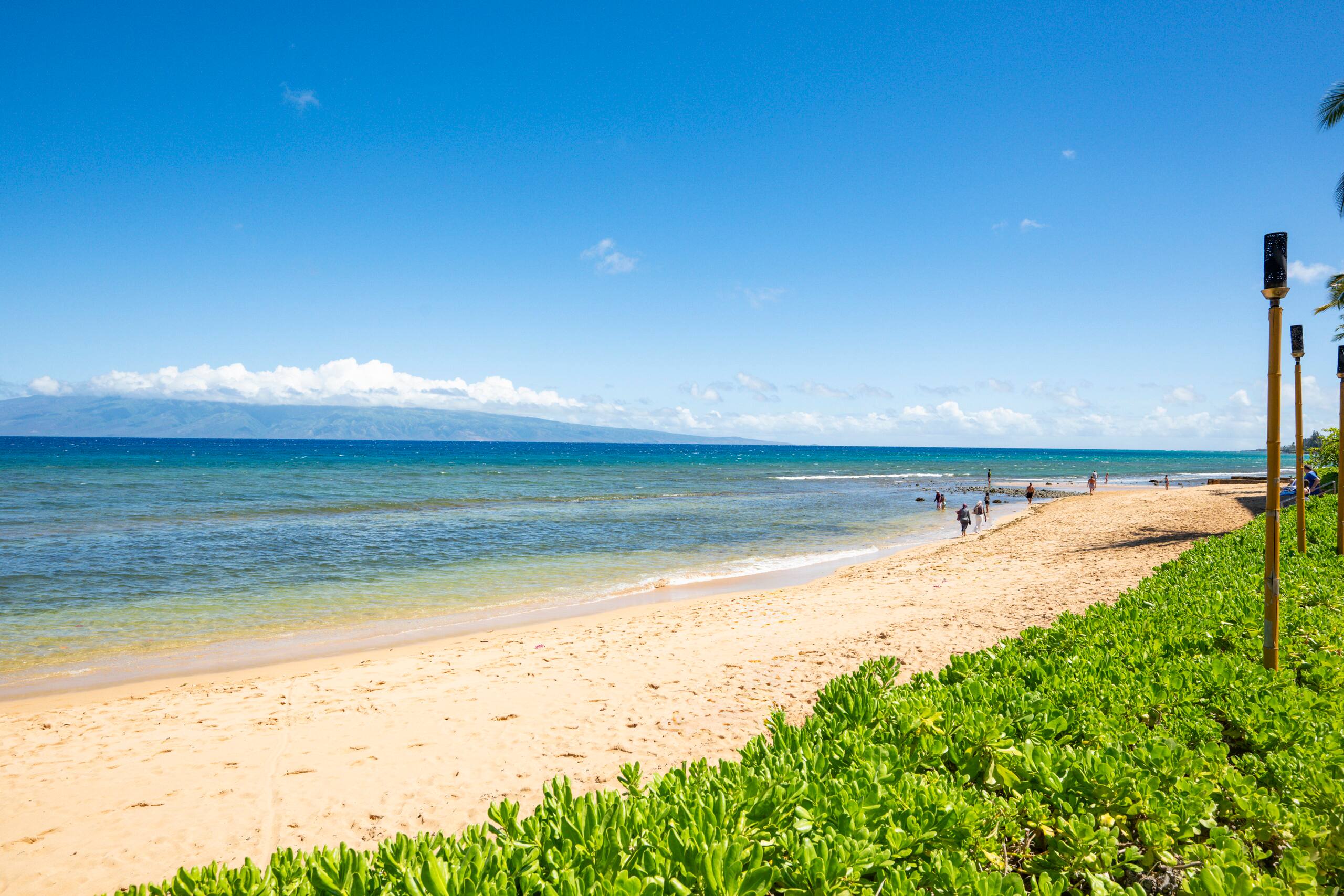 Condo in Lahaina · ★4.85 · 2 bedrooms · 3 beds · 2 baths - Image 38