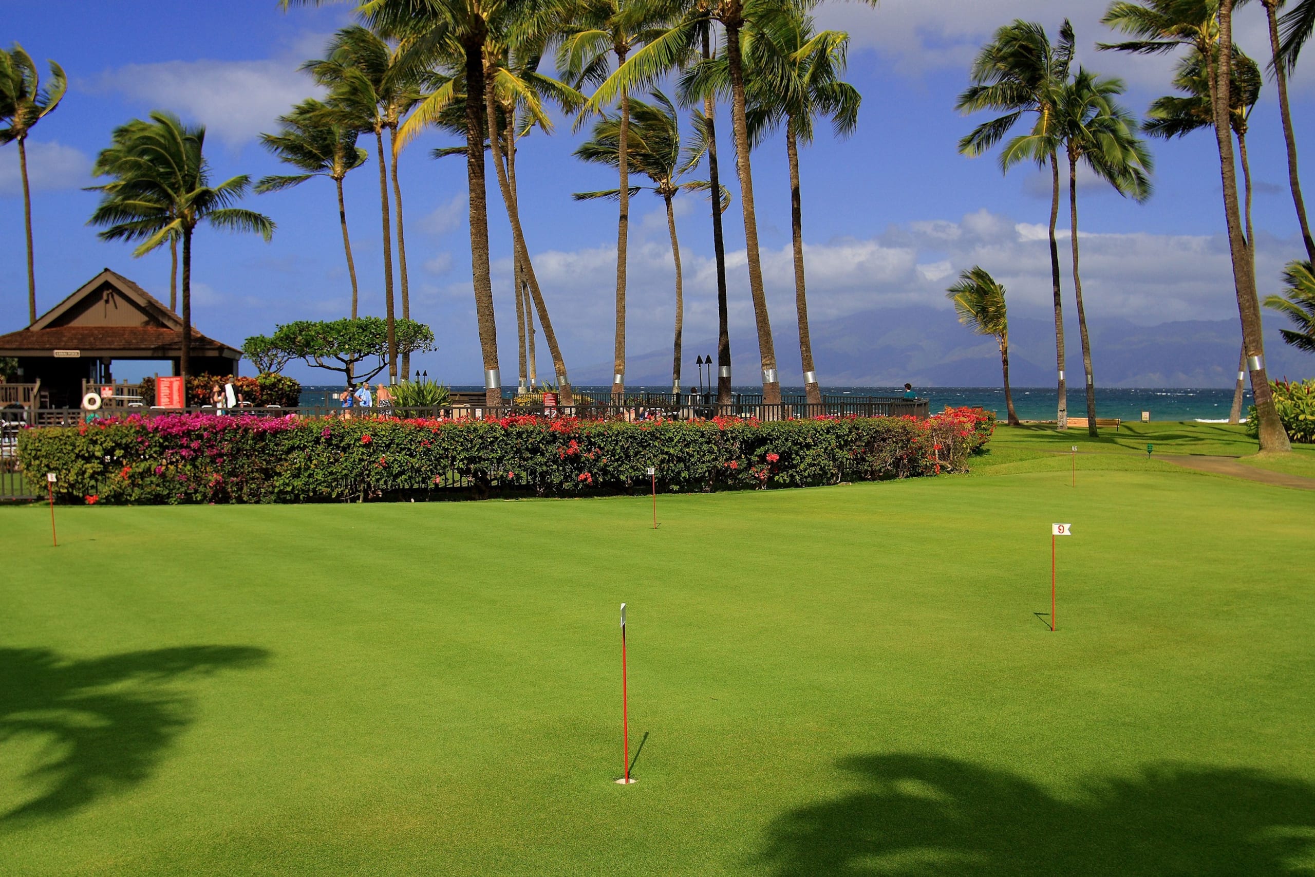 Condo in Lahaina · ★4.78 · 2 bedrooms · 3 beds · 2 shared baths - Image 19