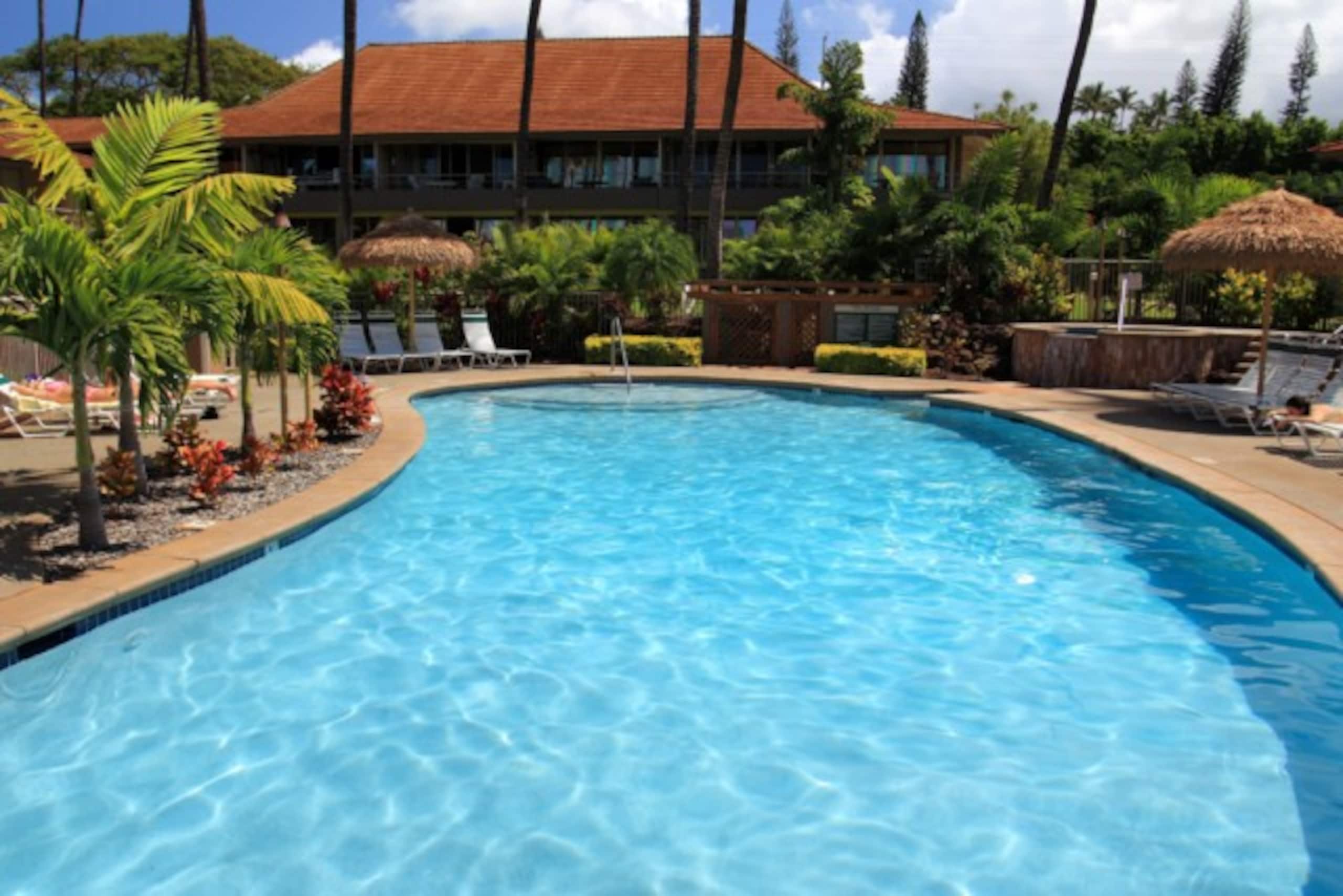 Condo in Lahaina · ★4.8 · Studio · 2 beds · 1 shared bath - Image 24