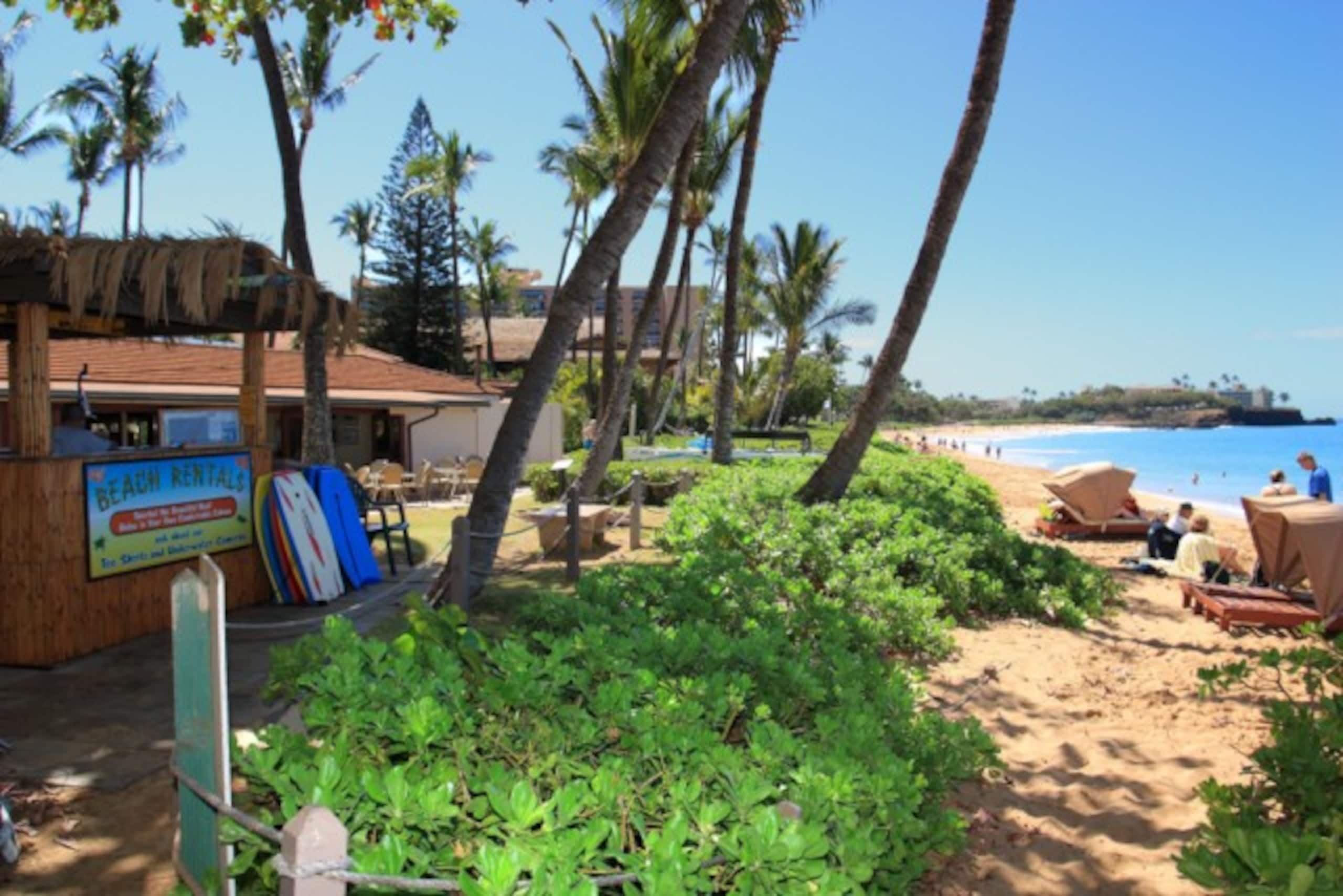 Condo in Lahaina · ★4.8 · Studio · 2 beds · 1 shared bath - Image 23