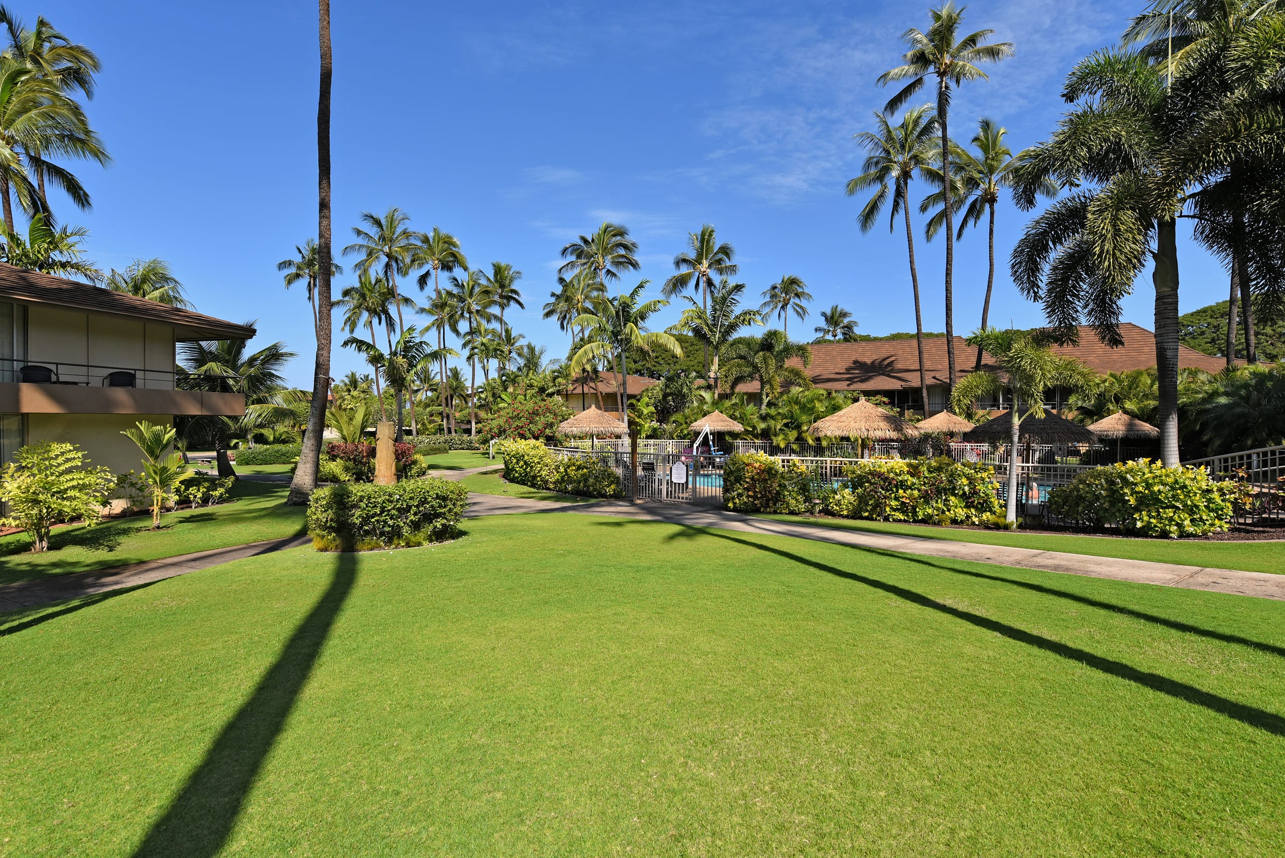 Condo in Lahaina · ★4.8 · Studio · 2 beds · 1 shared bath - Image 26