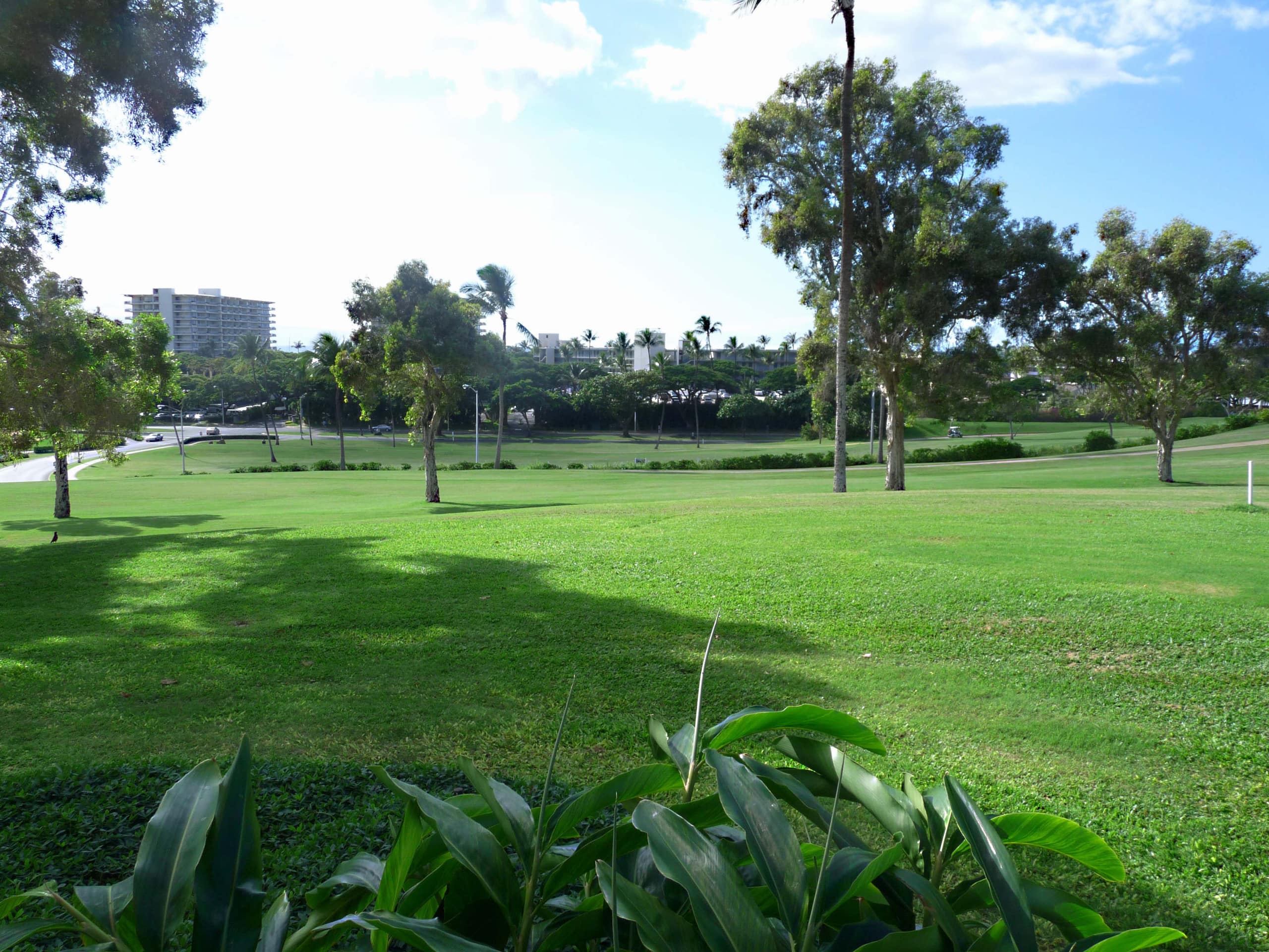 Condo in Lahaina · ★4.53 · 2 bedrooms · 4 beds · 2 baths - Image 25