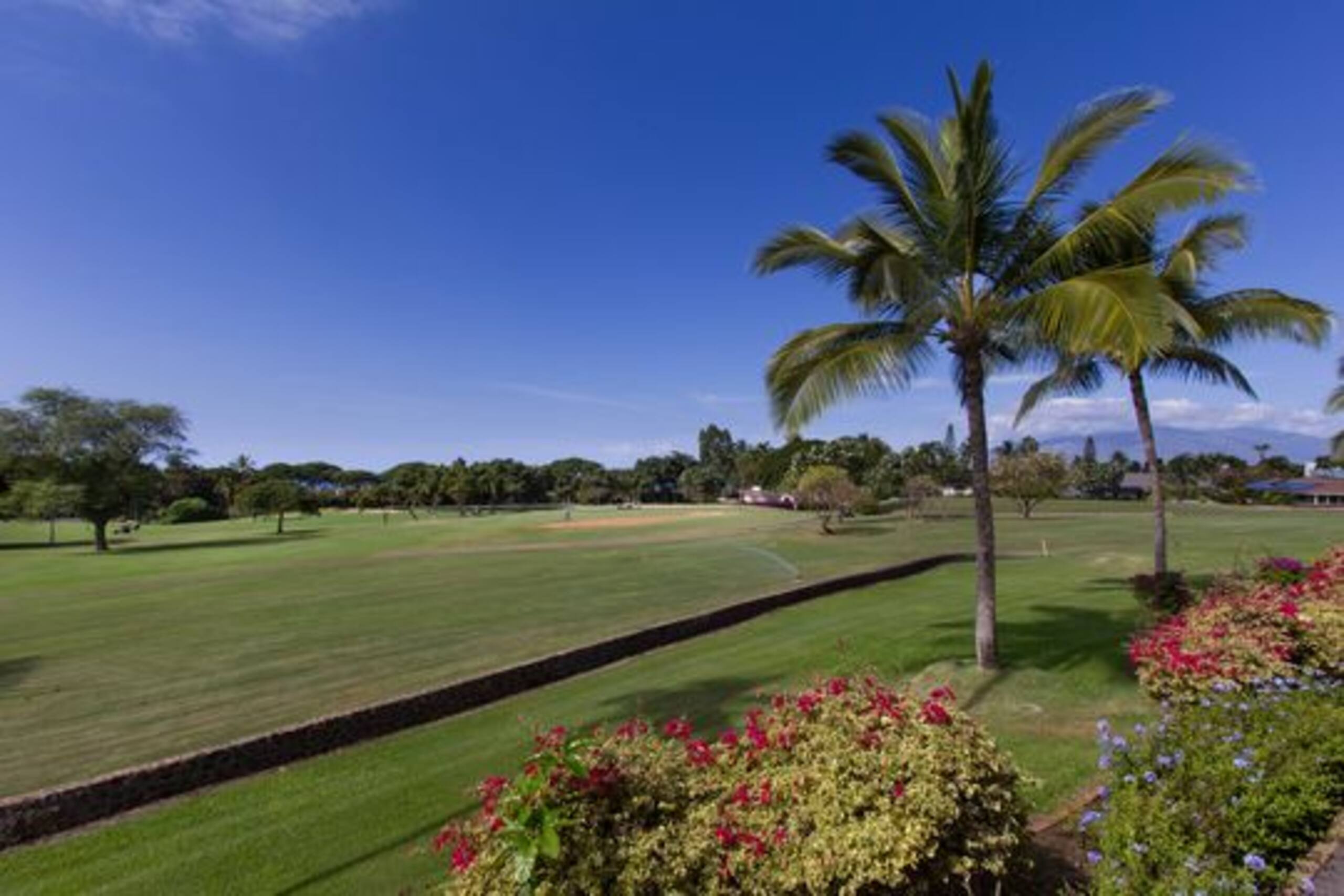 Condo in Kihei · ★4.92 · 1 bedroom · 2 beds · 2 baths - Image 34