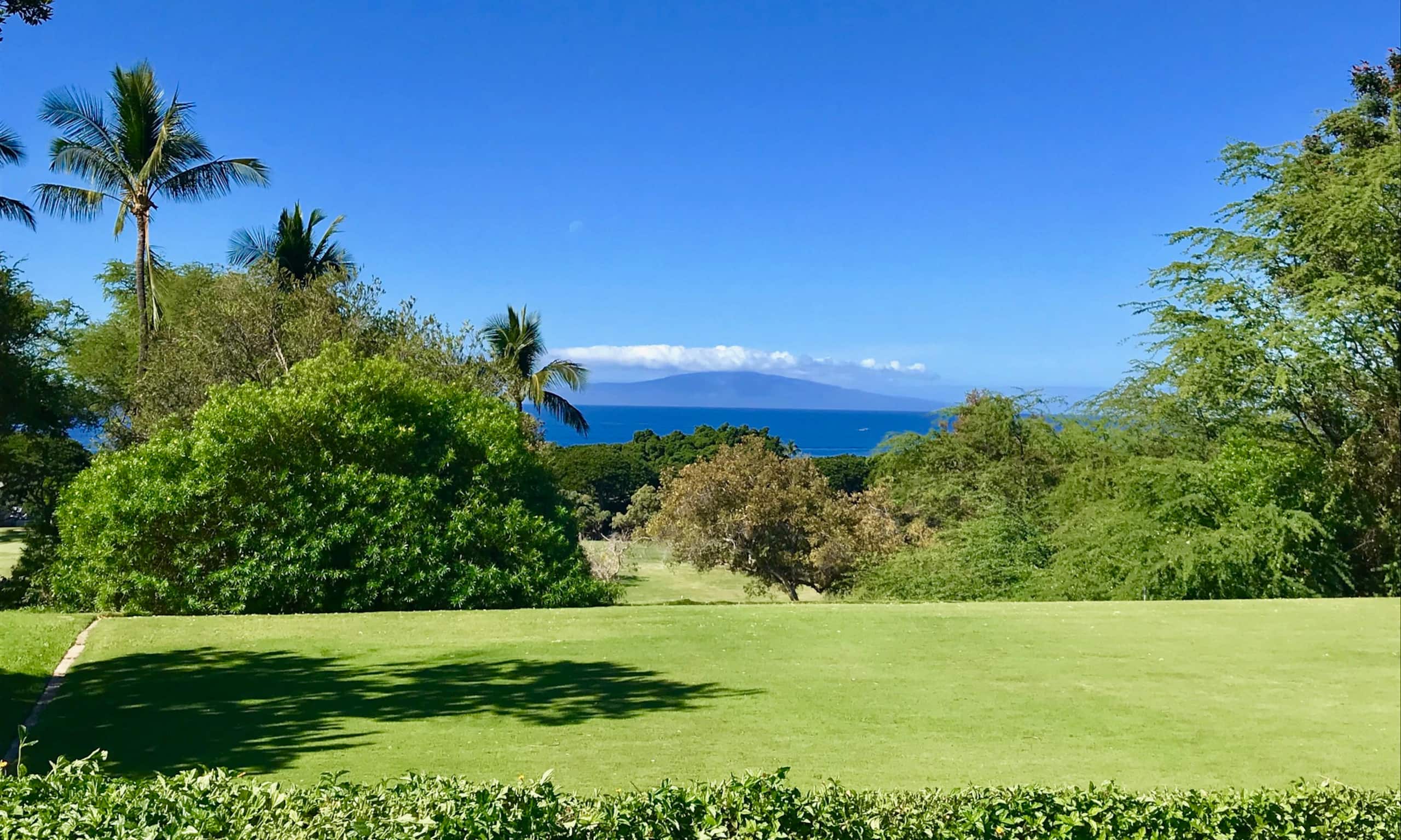 Condo in Kihei · ★4.92 · 1 bedroom · 2 beds · 2 baths - Image 35
