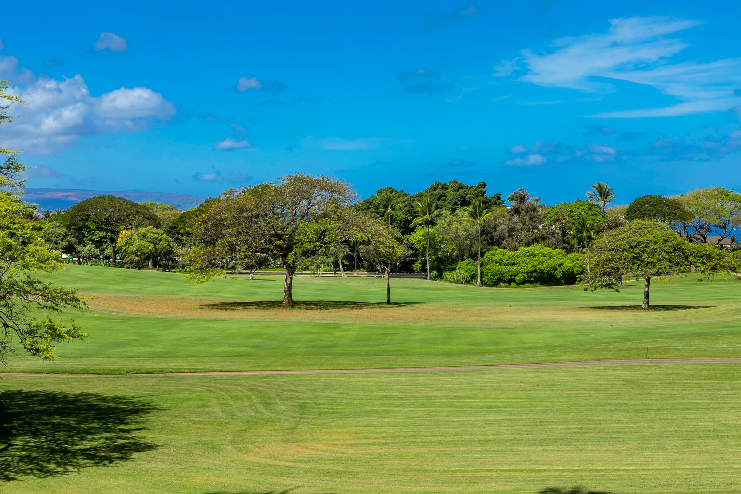 Condo in Kihei · ★4.92 · 1 bedroom · 2 beds · 2 baths - Image 30