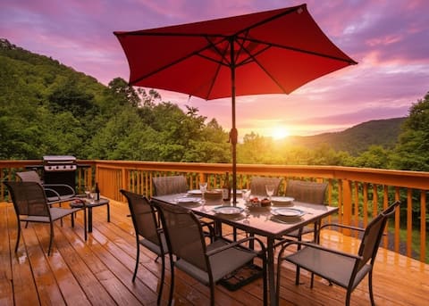 16 mi To DT Asheville, FP, Ping Pong, Air Hockey