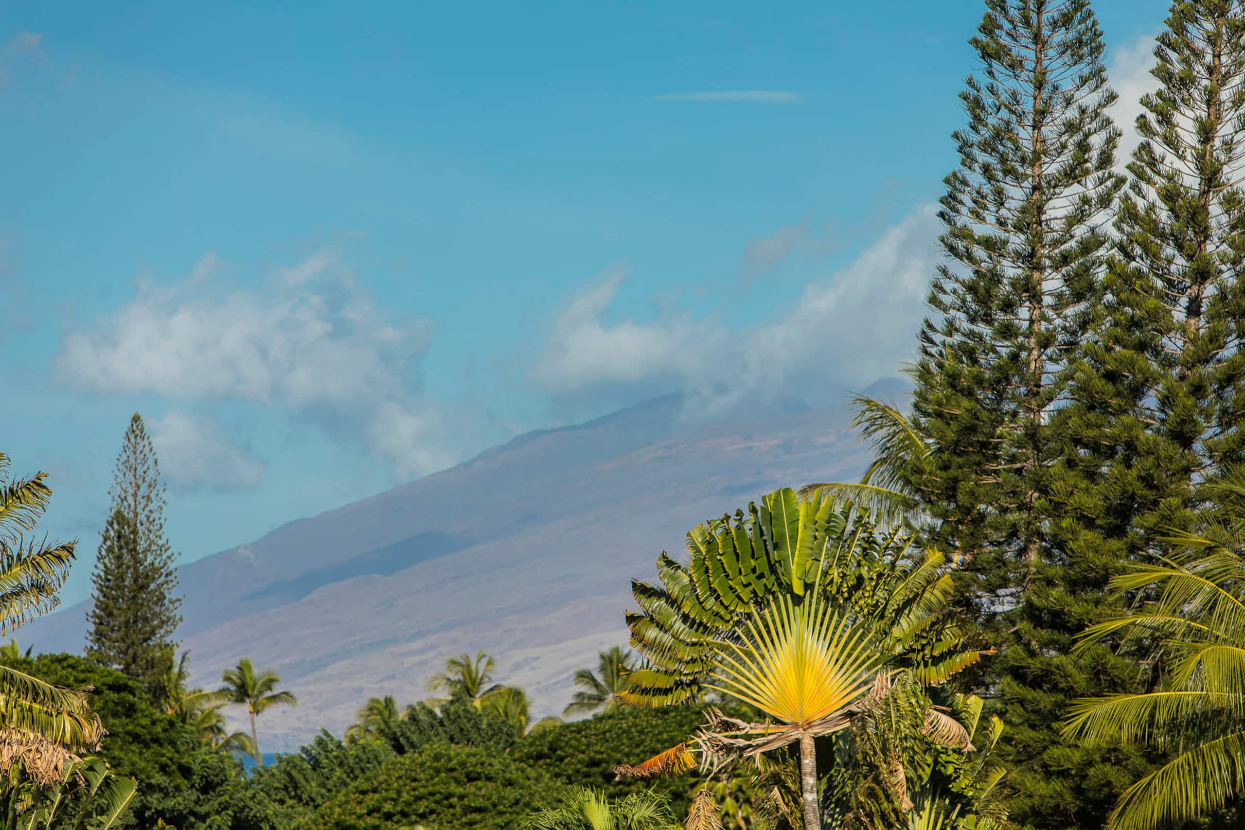 Condo in Kihei · ★4.8 · 2 bedrooms · 2 beds · 2 baths - Image 3