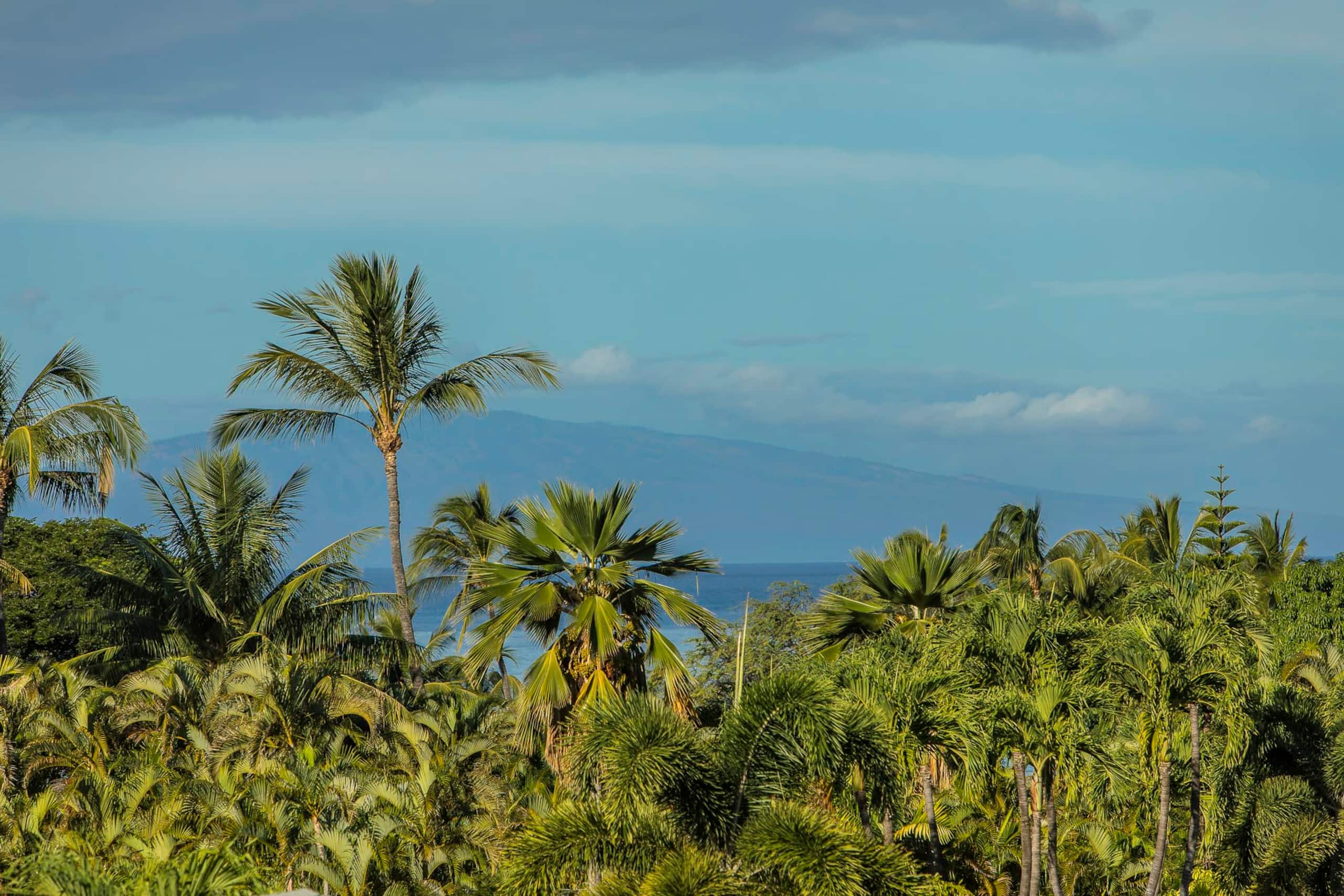 Condo in Kihei · ★4.8 · 2 bedrooms · 2 beds · 2 baths - Image 2