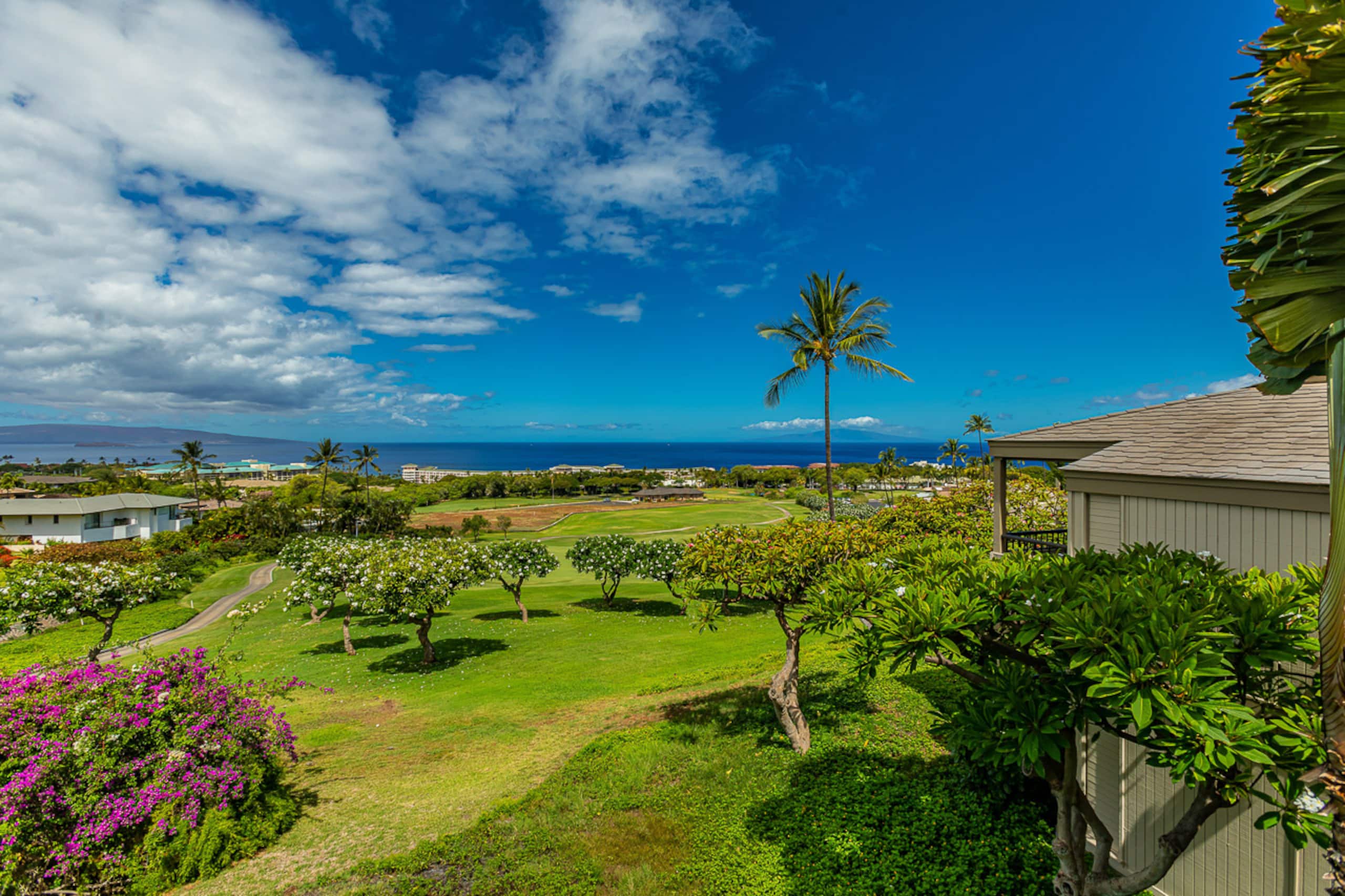 Condo in Kihei · ★4.96 · 1 bedroom · 1 bed · 2 baths - Image 3