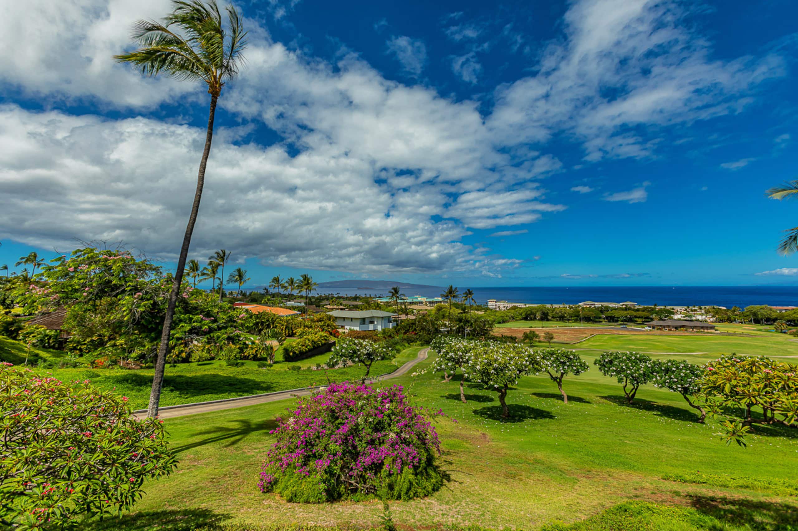 Condo in Kihei · ★4.96 · 1 bedroom · 1 bed · 2 baths - Image 5