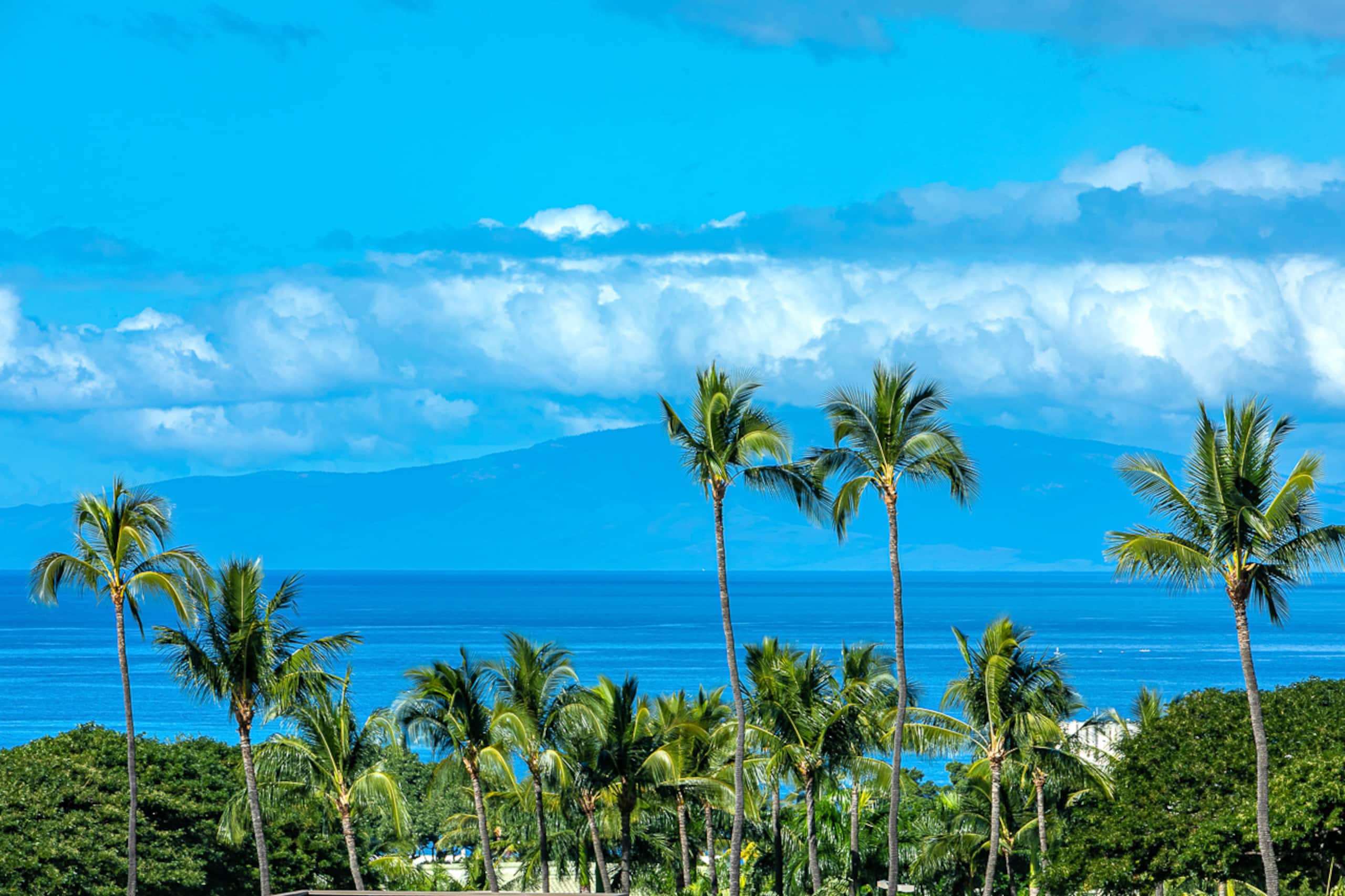 Condo in Kihei · ★4.96 · 1 bedroom · 1 bed · 2 baths - Image 30