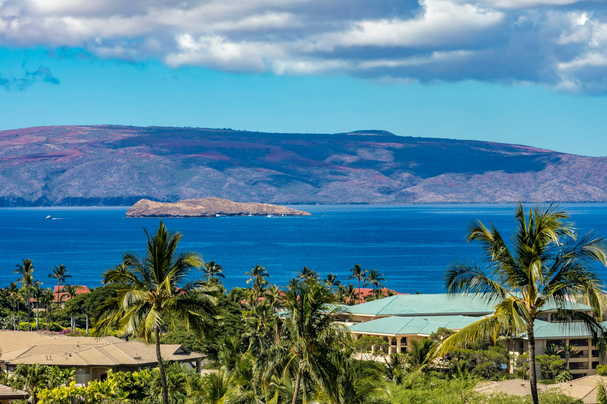 Condo in Kihei · ★4.96 · 1 bedroom · 1 bed · 2 baths - Image 8