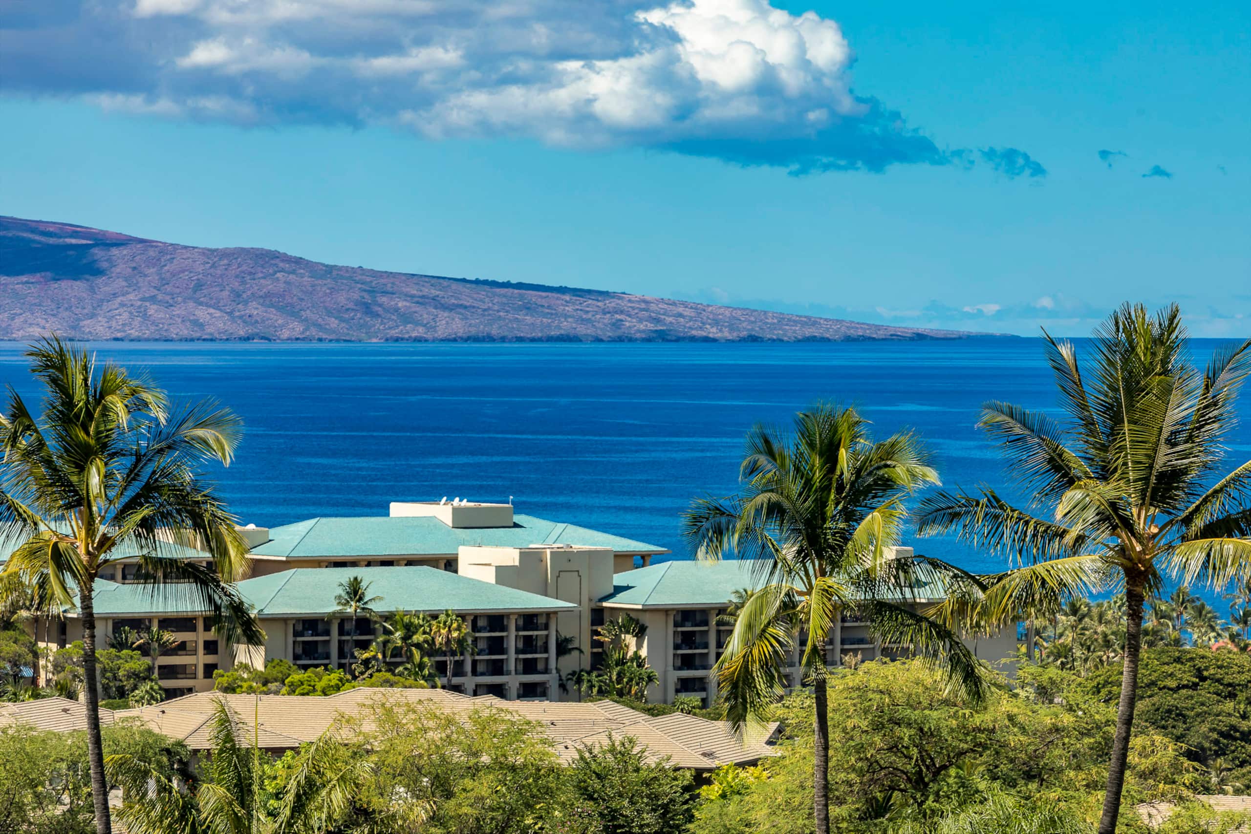 Condo in Kihei · ★4.96 · 1 bedroom · 1 bed · 2 baths - Image 7