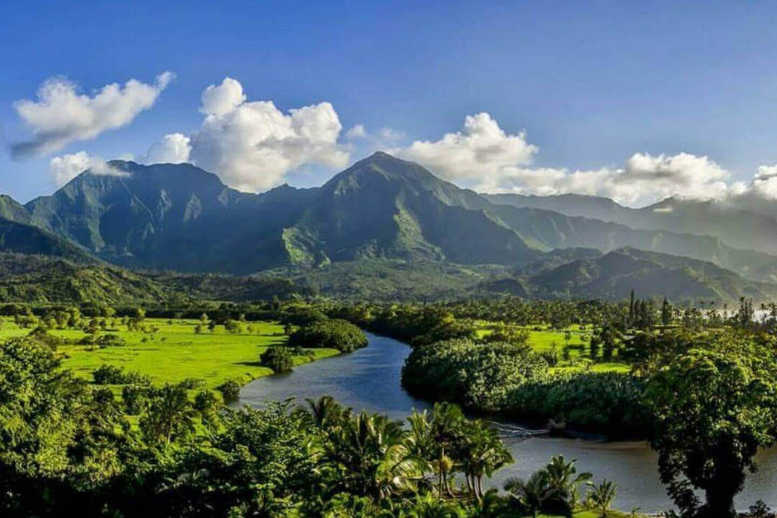 Condo in Princeville · ★4.98 · 2 bedrooms · 2 beds · 2 baths - Image 30