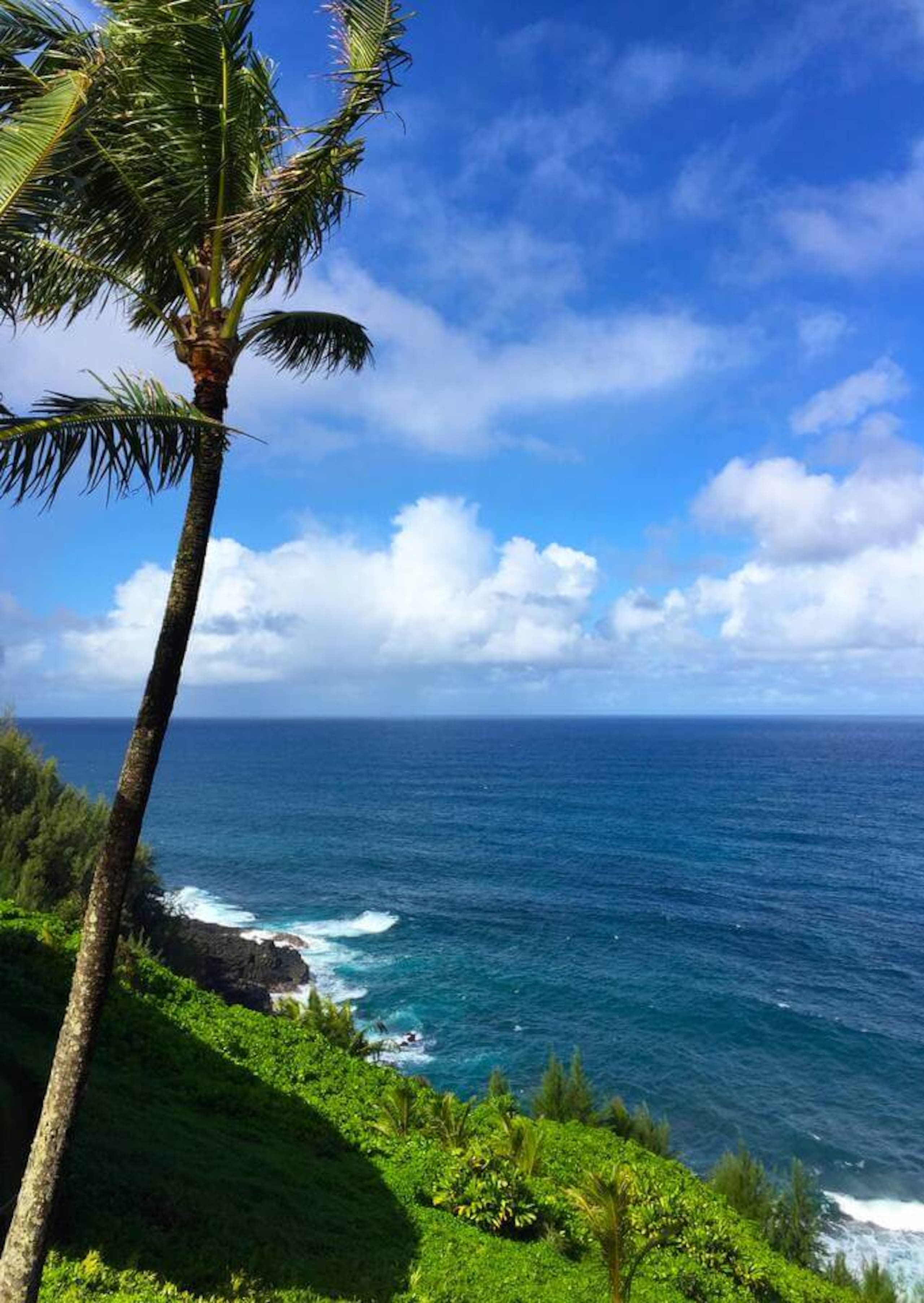 Condo in Princeville · ★4.98 · 2 bedrooms · 2 beds · 2 baths - Image 11