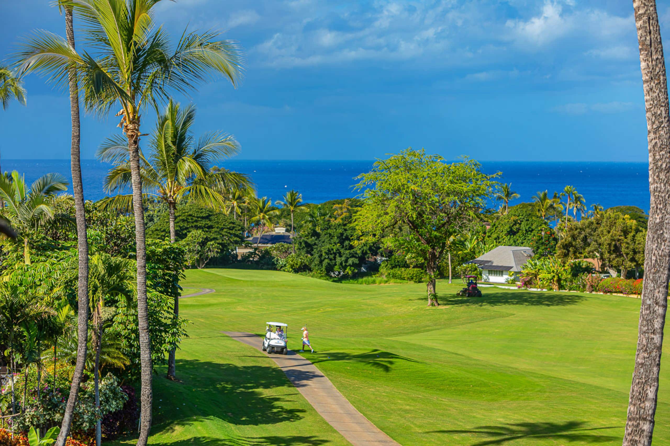 Condo in Kihei · ★4.76 · 1 bedroom · 2 beds · 2 shared baths - Image 26