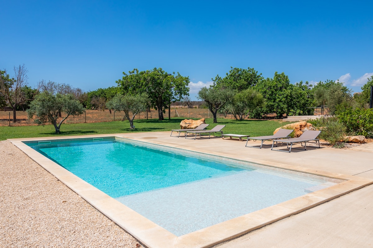 A rectangular swimming pool showcases clear blue water, surrounded by a spacious deck area. Several lounge chairs are positioned nearby for relaxation, with greenery and trees in the background, creating a serene outdoor environment.