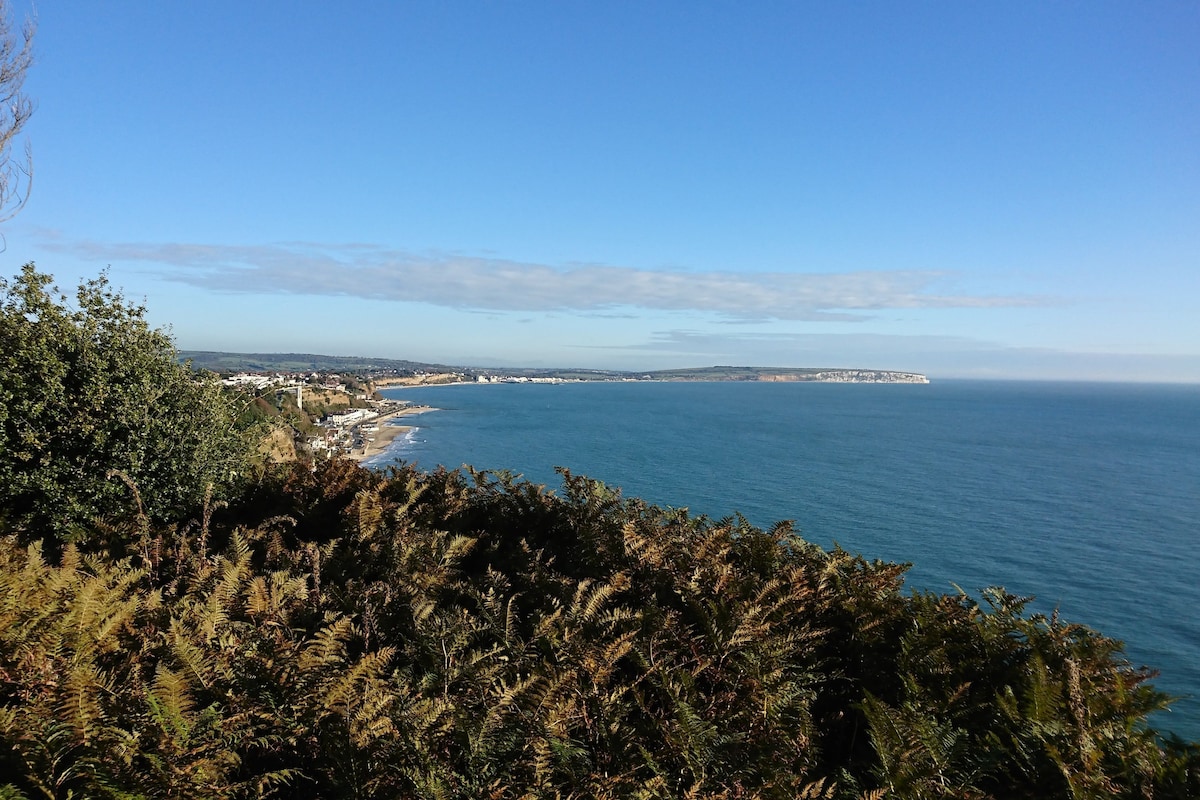 A panoramic view of the coastline is presented, showcasing the sparkling blue sea extending towards a distant horizon. Lush greenery is visible in the foreground, contributing to the natural beauty of the landscape under a clear sky.