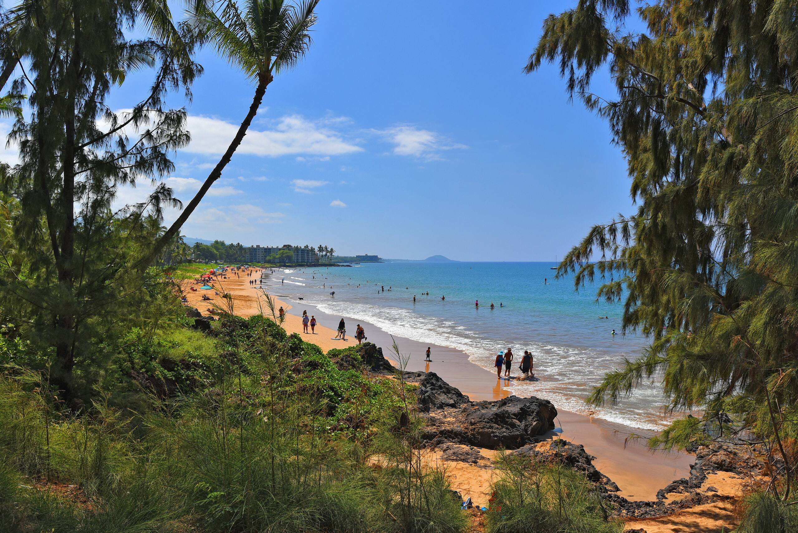Condo in Kihei · ★4.7 · 3 bedrooms · 5 beds · 3 baths - Image 40