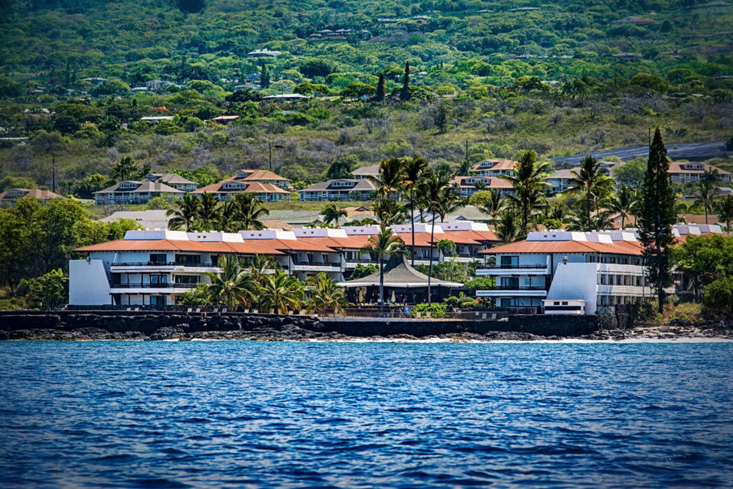 Condo in Kailua-Kona · ★4.67 · 1 bedroom · 2 beds · 1 bath - Image 36