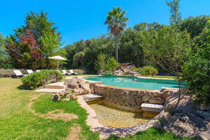 Luxurious Villa close the sea with pool & a/c gallery image 4