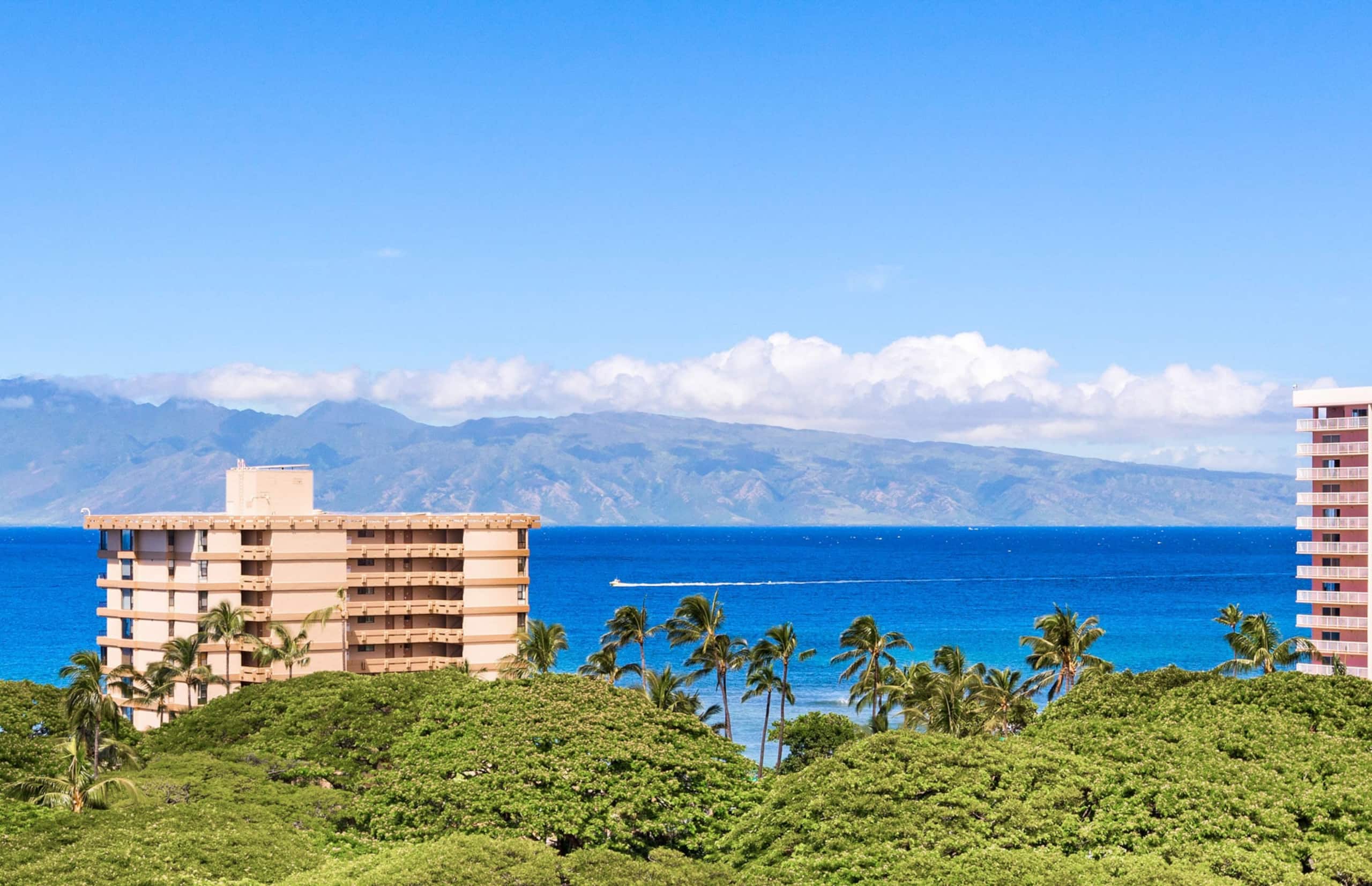 Condo in Lahaina · ★5.0 · 2 bedrooms · 3 beds · 2 baths - Image 15