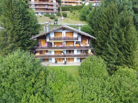 Jorasse C 20 by Interhome