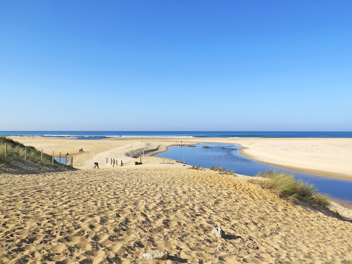 A sandy beach stretches alongside a calm body of water, bordered by grassy dunes. The horizon meets a clear blue sky, while gentle waves can be seen in the distance. People are scattered along the shoreline, enjoying the peaceful scenery.