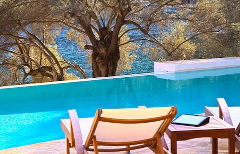 Villa Amoudia - Luxury Villa right on the beach