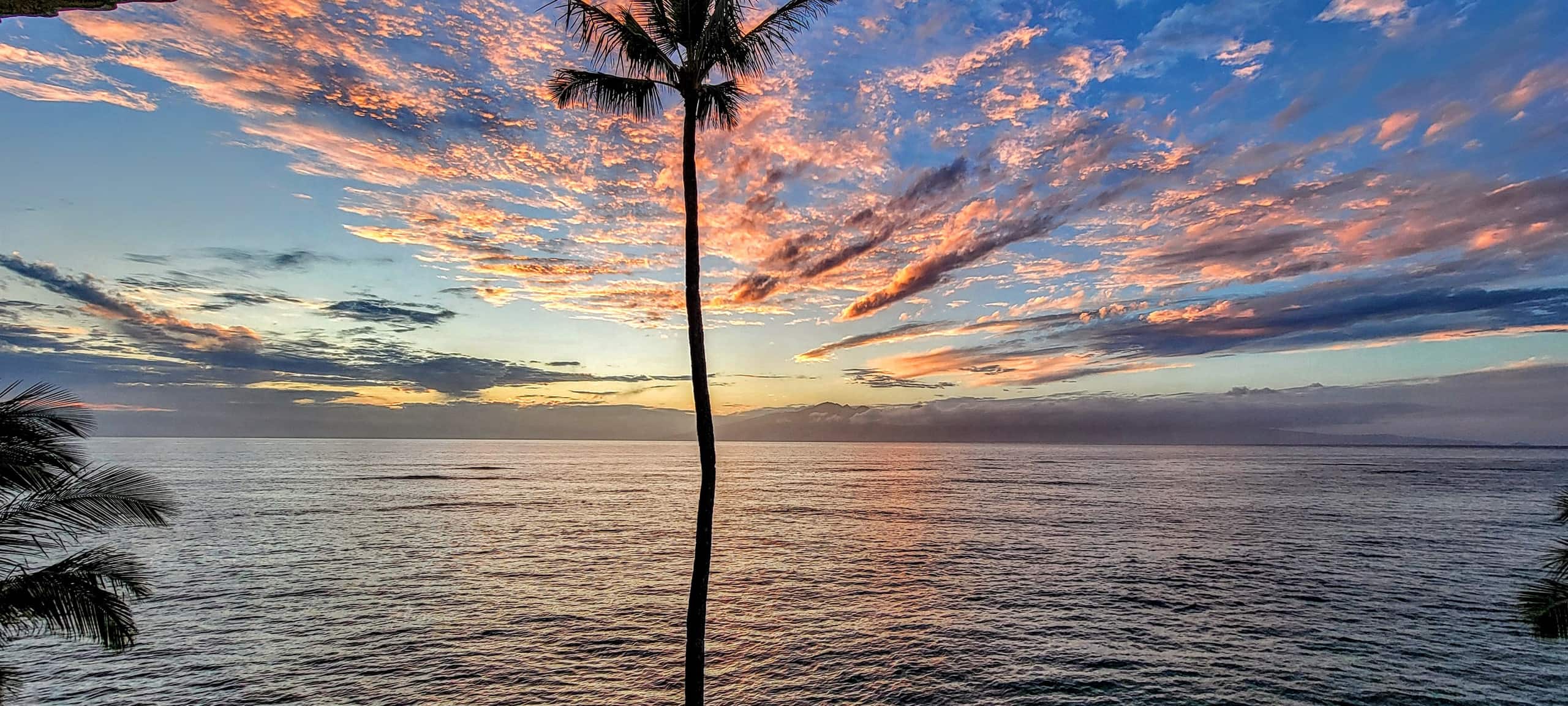 Condo in Lahaina · ★4.89 · 1 bedroom · 2 beds · 1 bath - Image 15