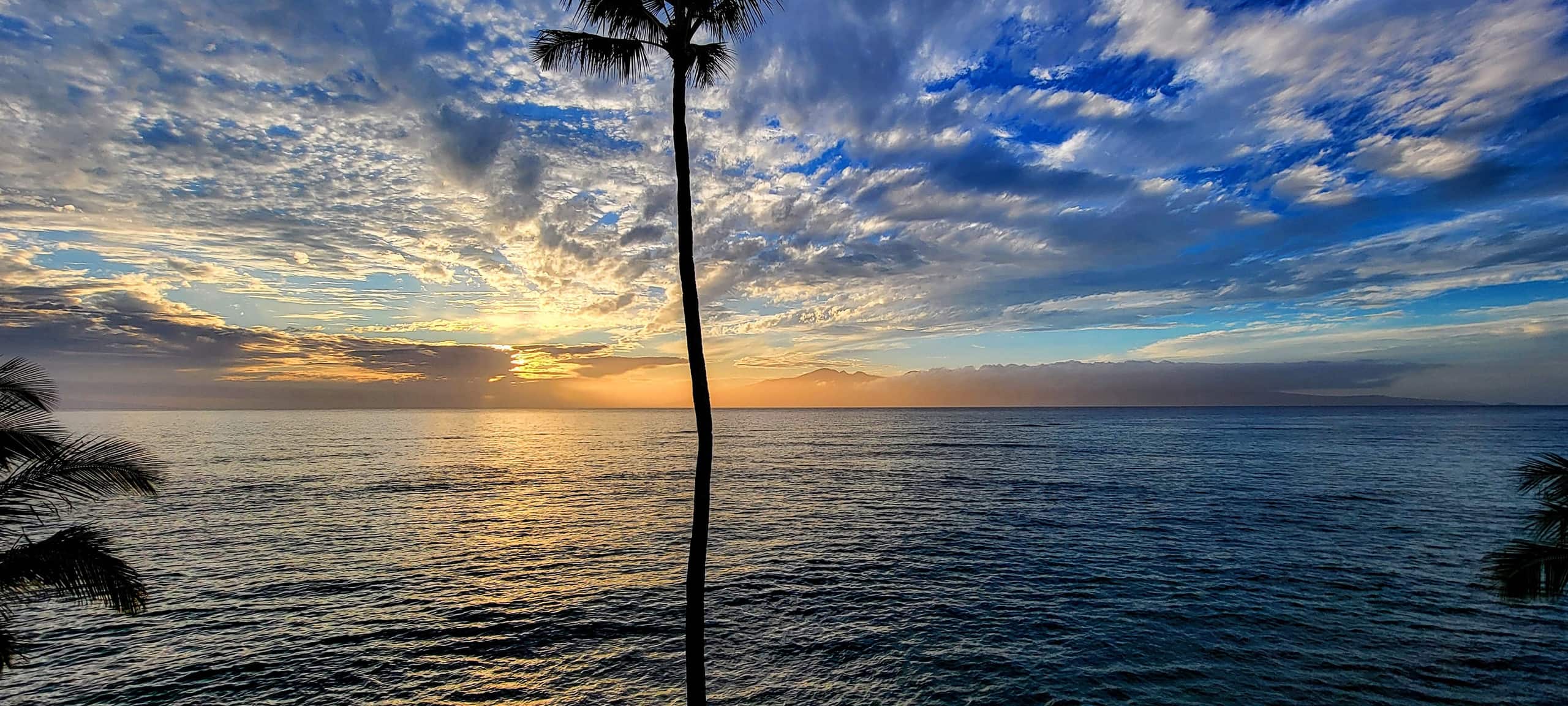 Condo in Lahaina · ★4.89 · 1 bedroom · 2 beds · 1 bath - Image 4