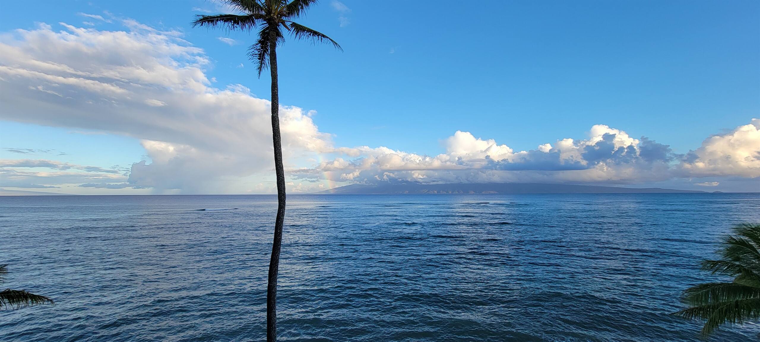 Condo in Lahaina · ★4.89 · 1 bedroom · 2 beds · 1 bath - Image 25