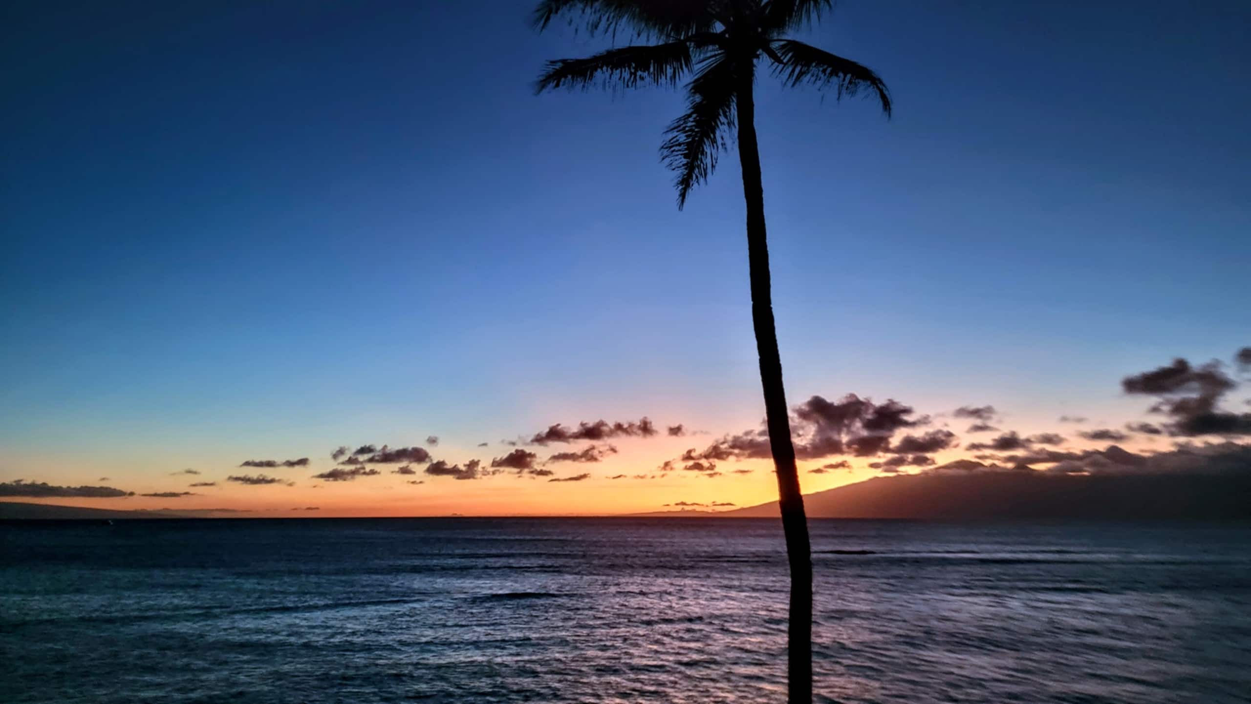 Condo in Lahaina · ★4.89 · 1 bedroom · 2 beds · 1 bath - Image 22
