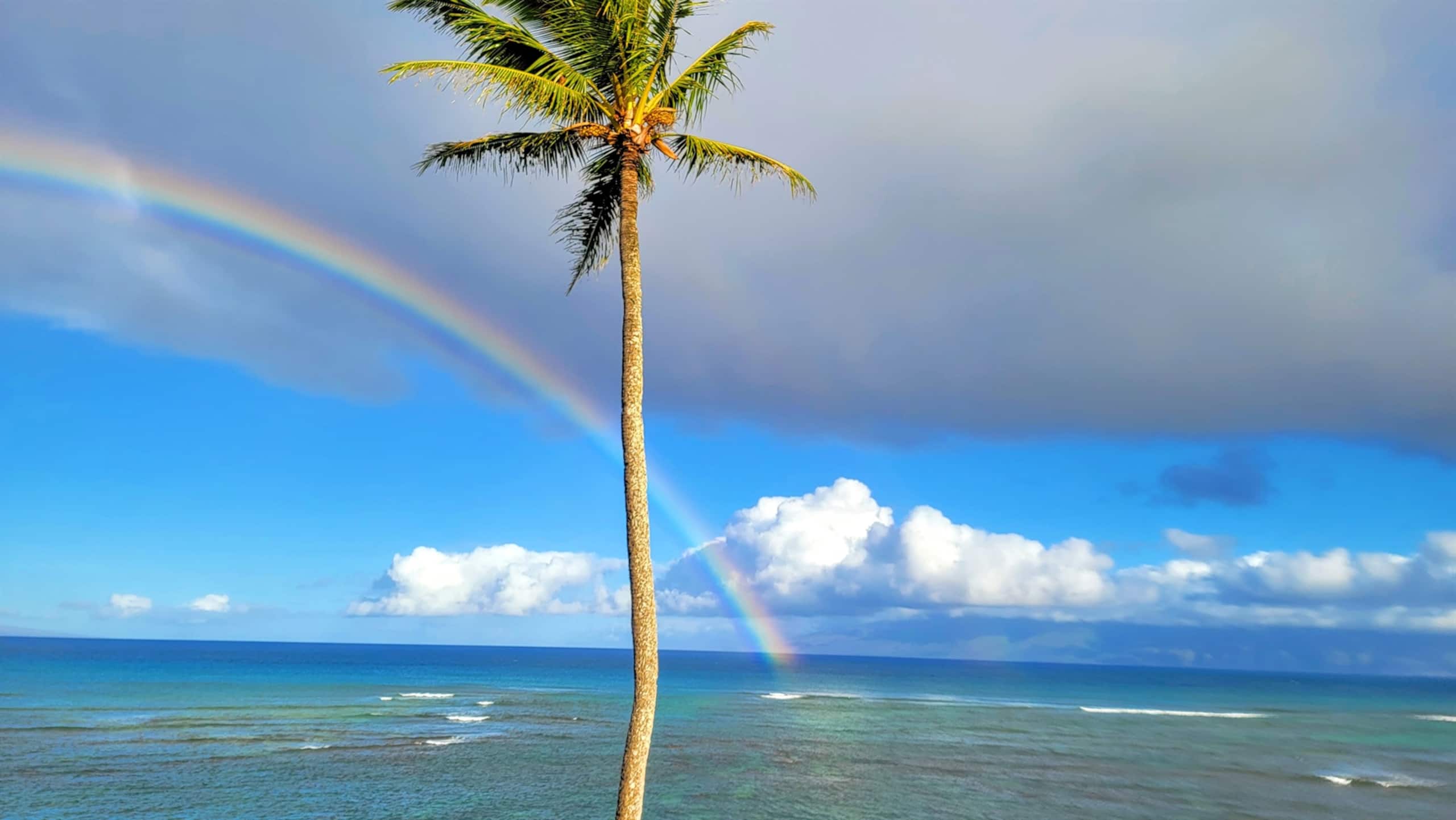Condo in Lahaina · ★4.89 · 1 bedroom · 2 beds · 1 bath - Image 23