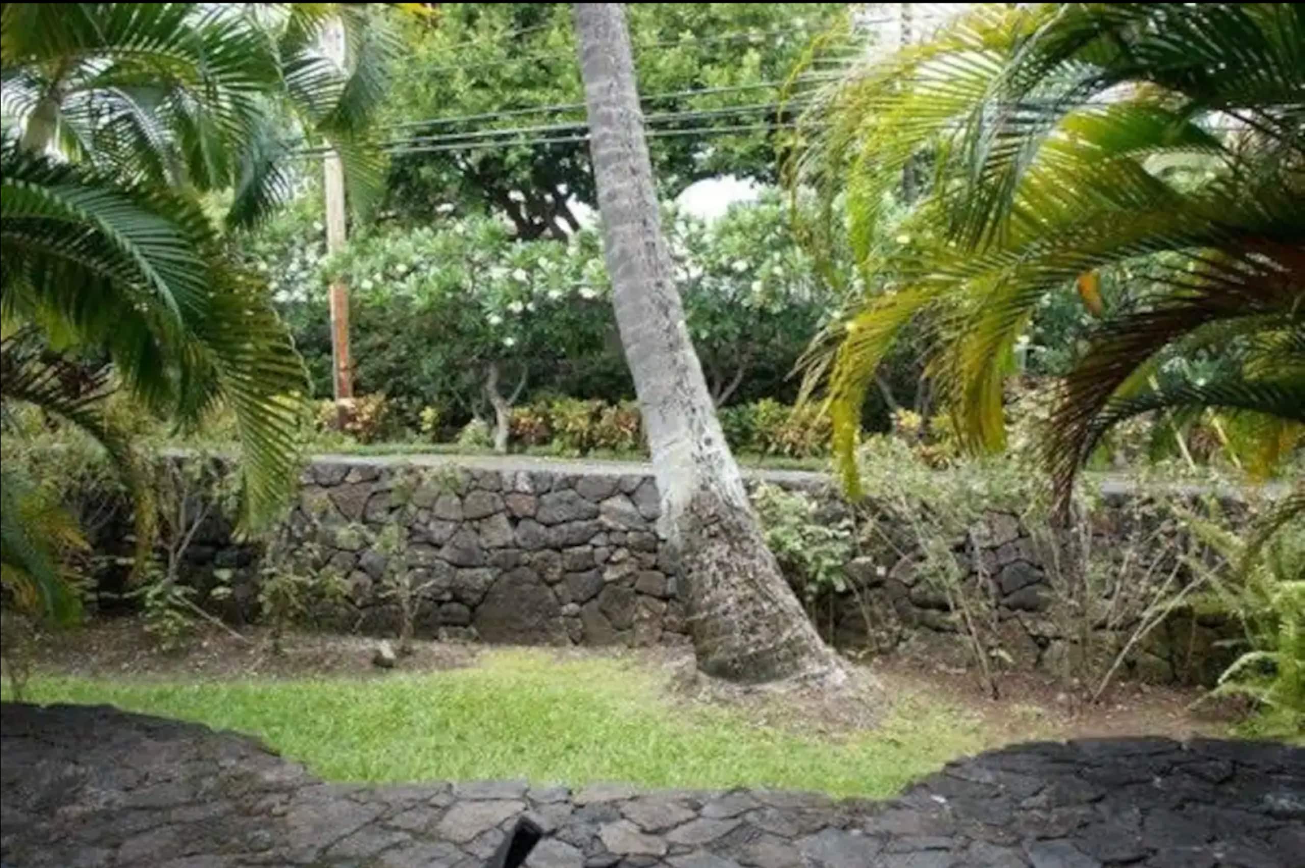 Condo in Kailua-Kona · ★4.79 · 2 bedrooms · 3 beds · 2 private baths - Image 40
