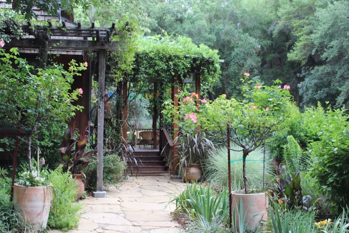 Casa Buena Vista Rentals managed Airbnb listing 3