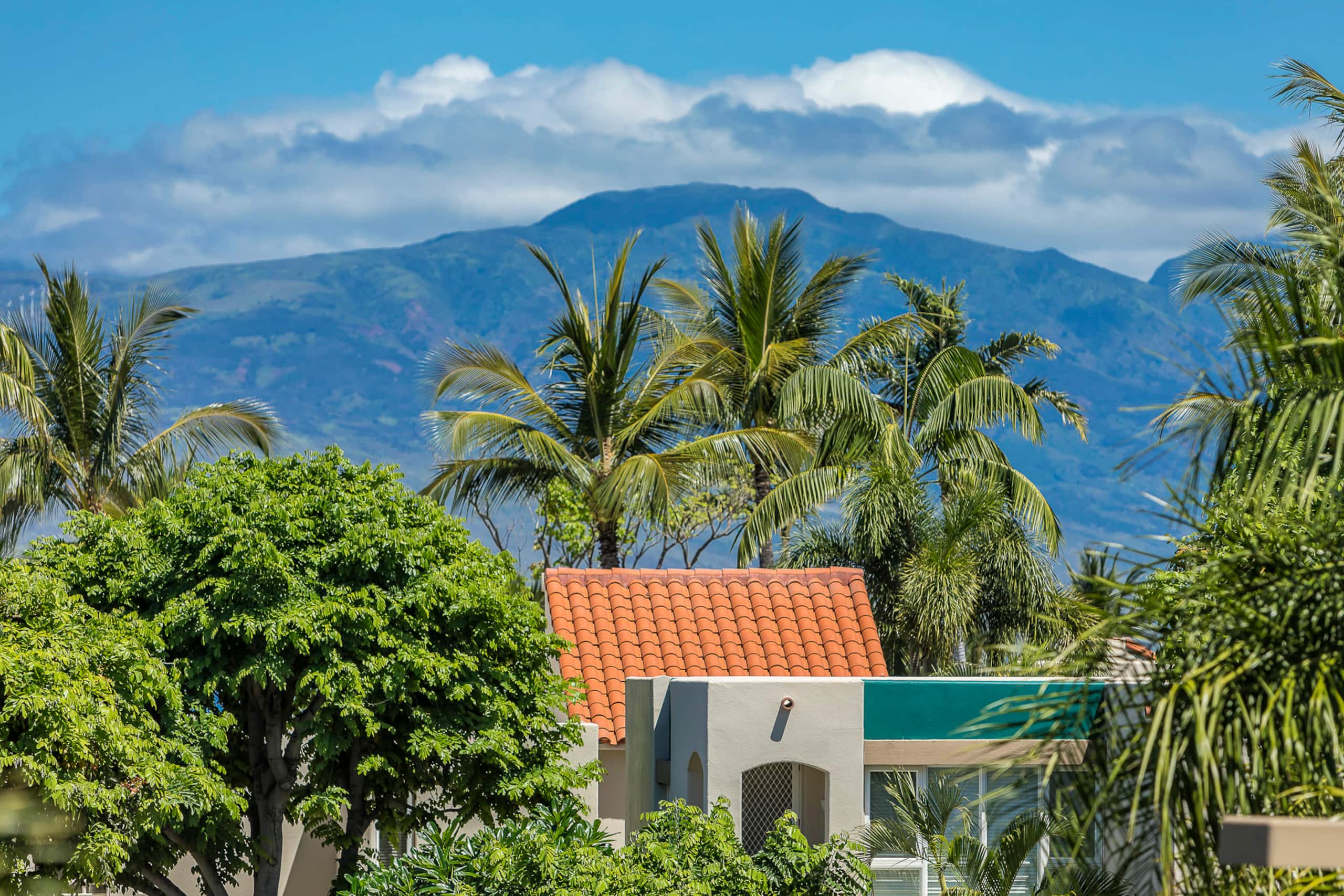 Condo in Kihei · ★4.86 · 2 bedrooms · 4 beds · 2 baths - Image 55