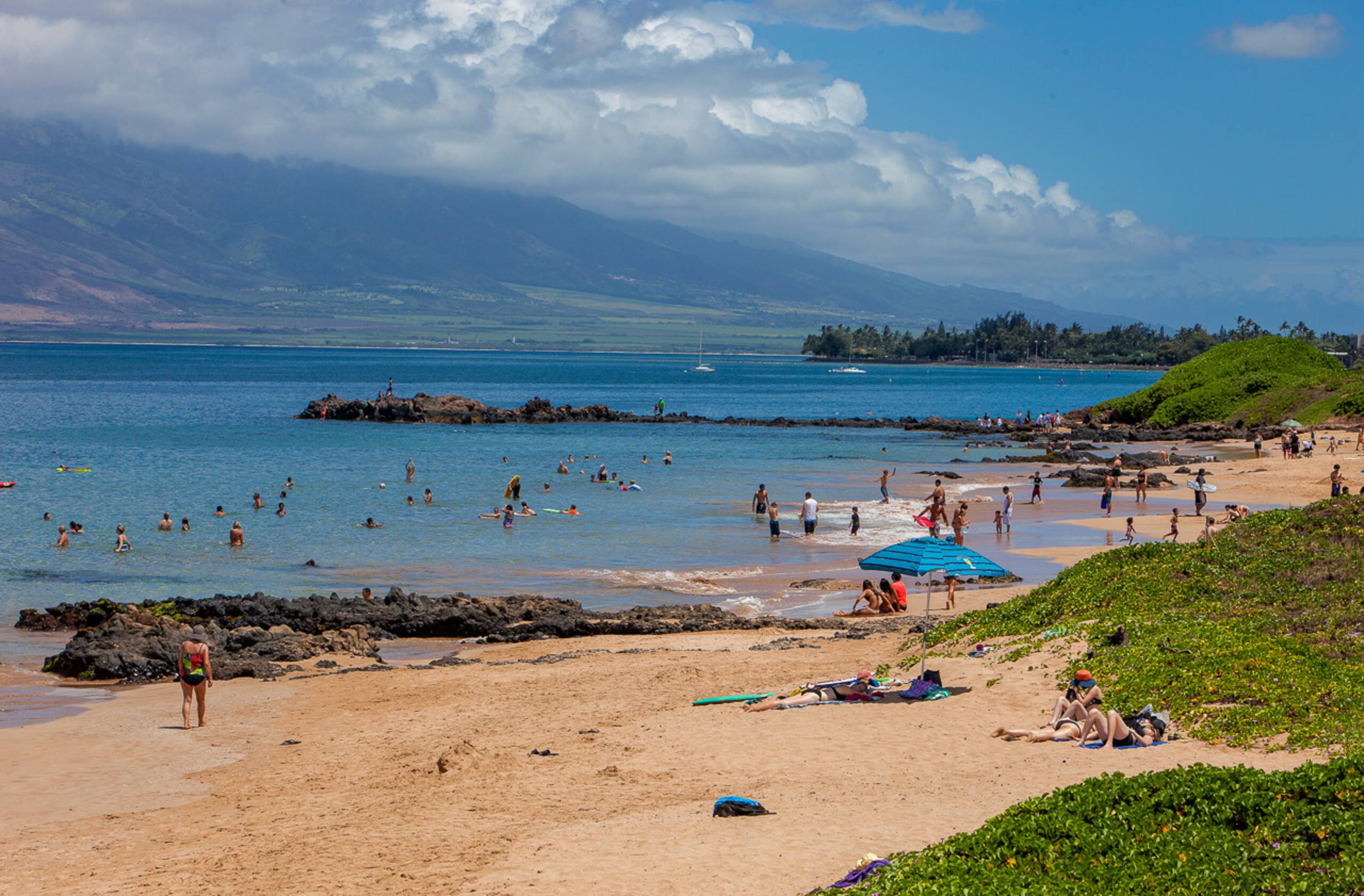 Condo in Kihei · ★4.86 · 2 bedrooms · 4 beds · 2 baths - Image 70