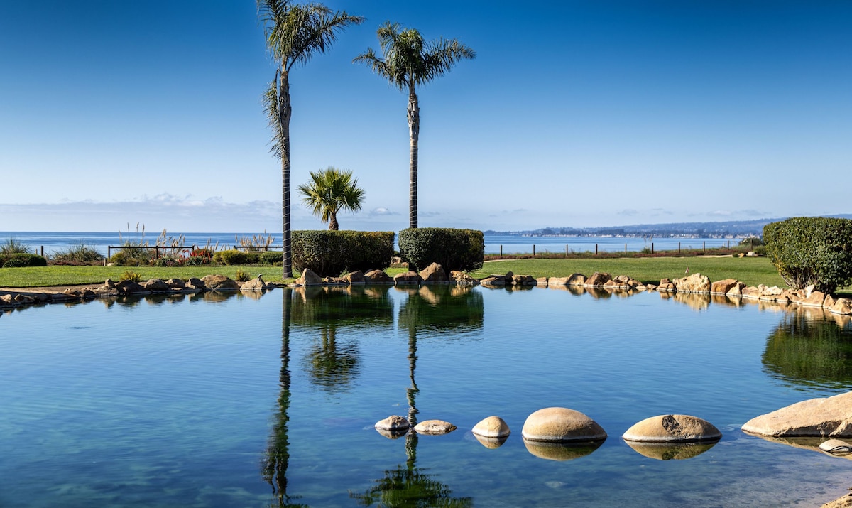 A serene pond reflects palm trees and a clear blue sky, with smooth stones leading across the water. Lush greenery surrounds the area, providing a tranquil setting that overlooks the distant ocean.