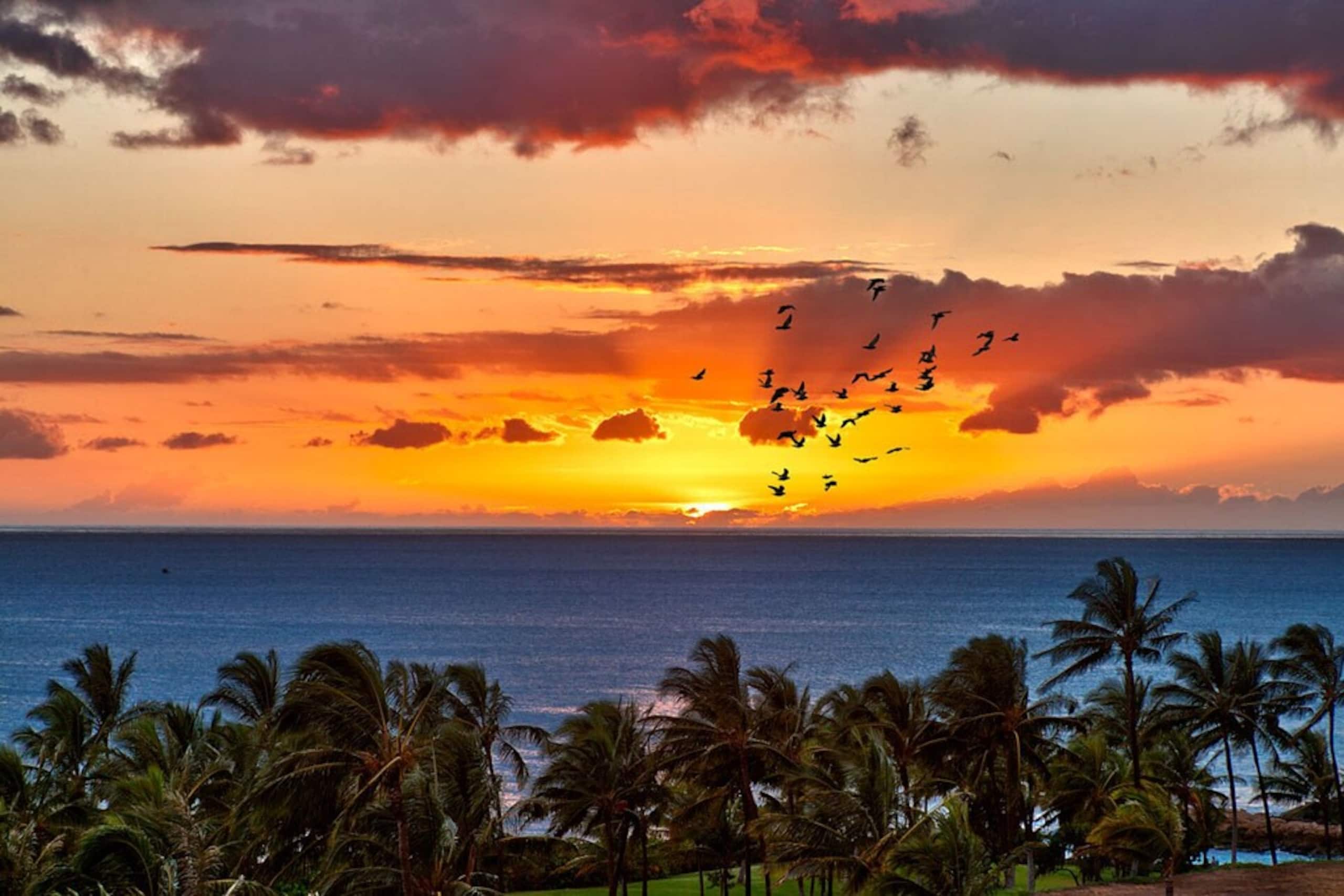 Villa in Honolulu County · ★4.86 · 3 bedrooms · 4 beds · 3 private baths - Image 19
