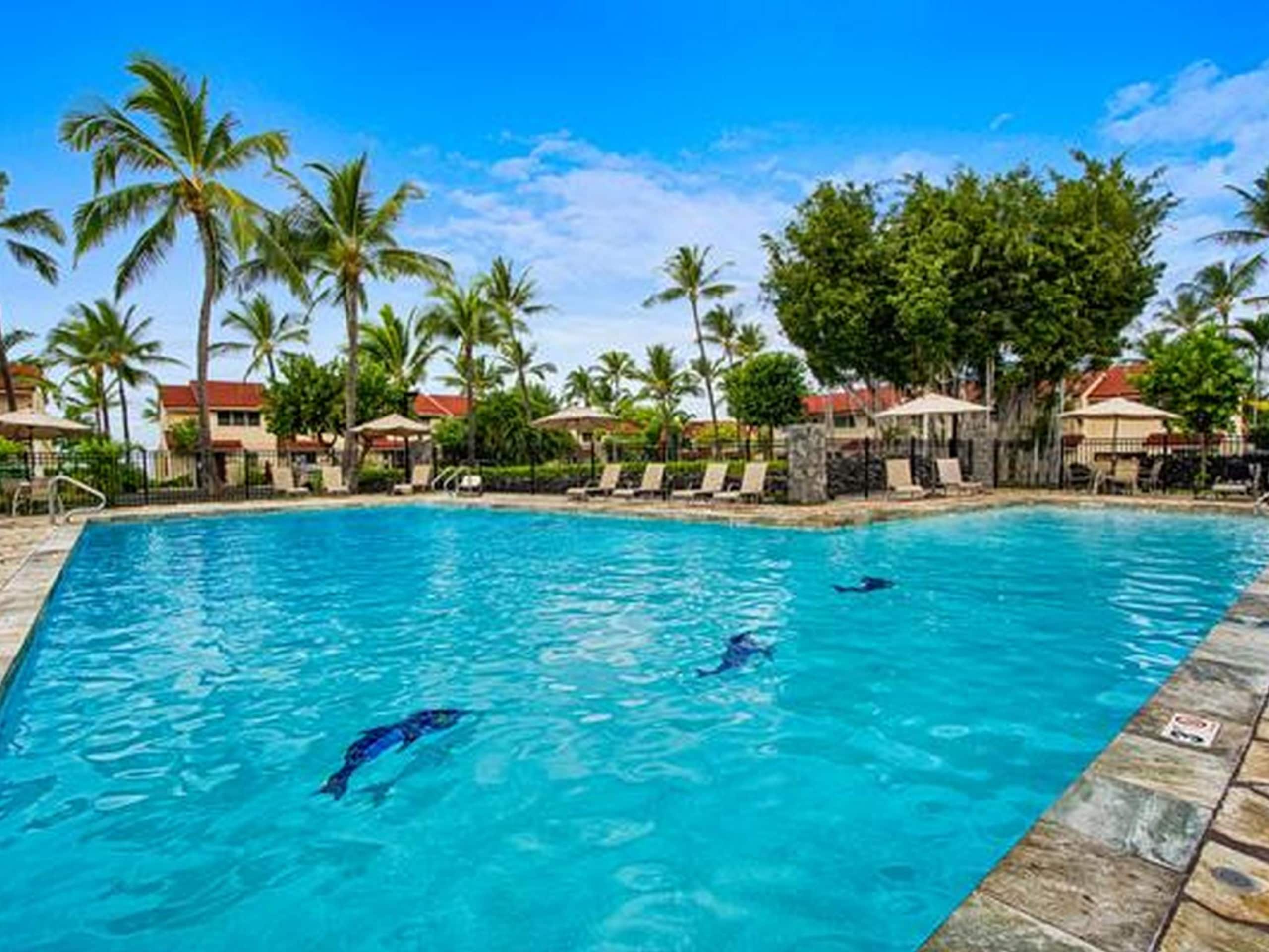 Condo in Kailua-Kona · ★4.51 · 3 bedrooms · 4 beds · 2 baths - Image 22